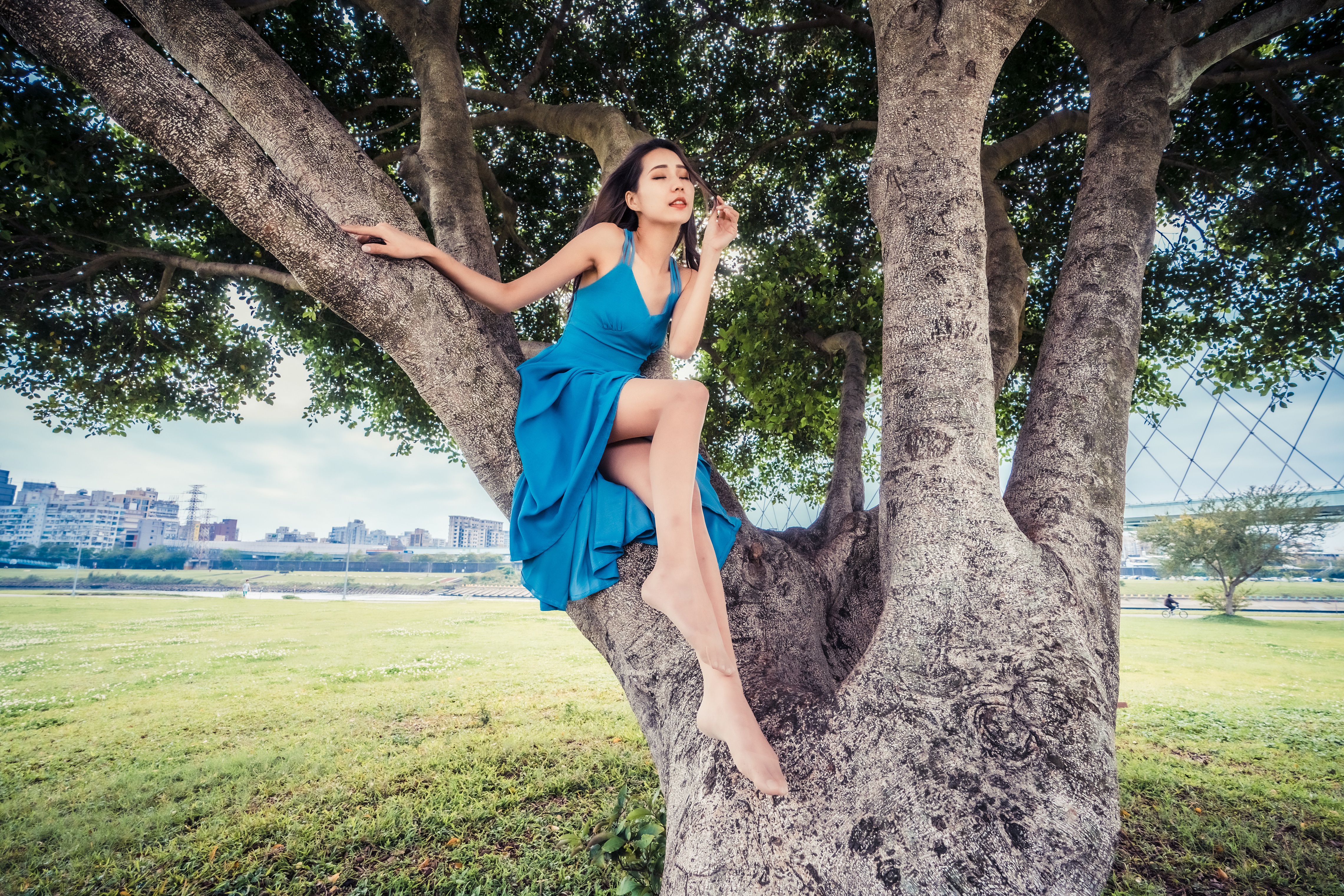 Asian Women Model Trees Sitting Women Outdoors Long Hair Brunette Blue Dress Nylons Grass Skyline Br 4562x3043