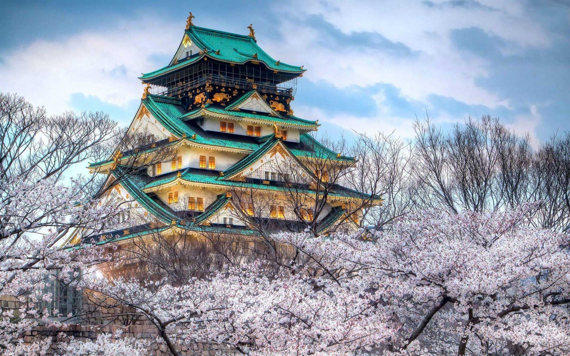 Architecture Castle Cherry Blossom Japan Man Made Osaka Castle 1920x1200