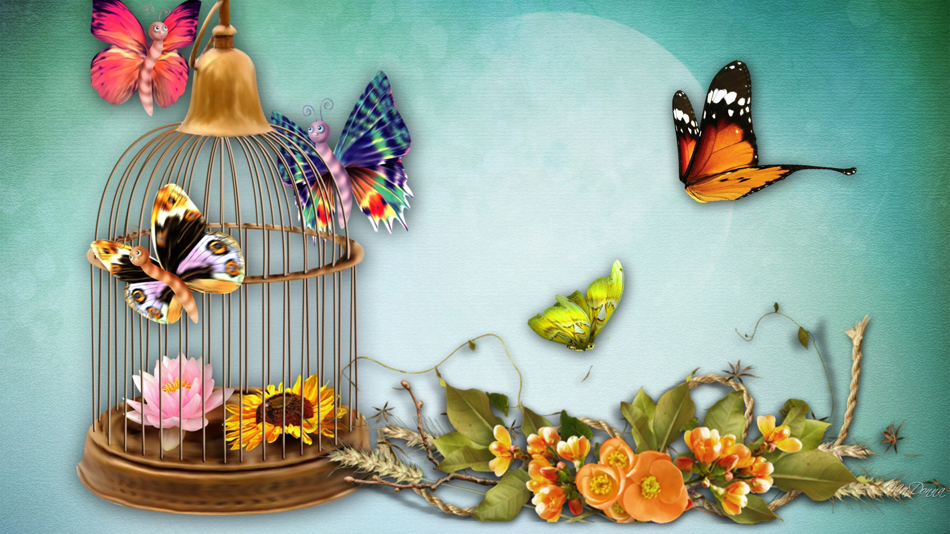 Artistic Birdcage Butterfly Colorful Flower Spring 1920x1080