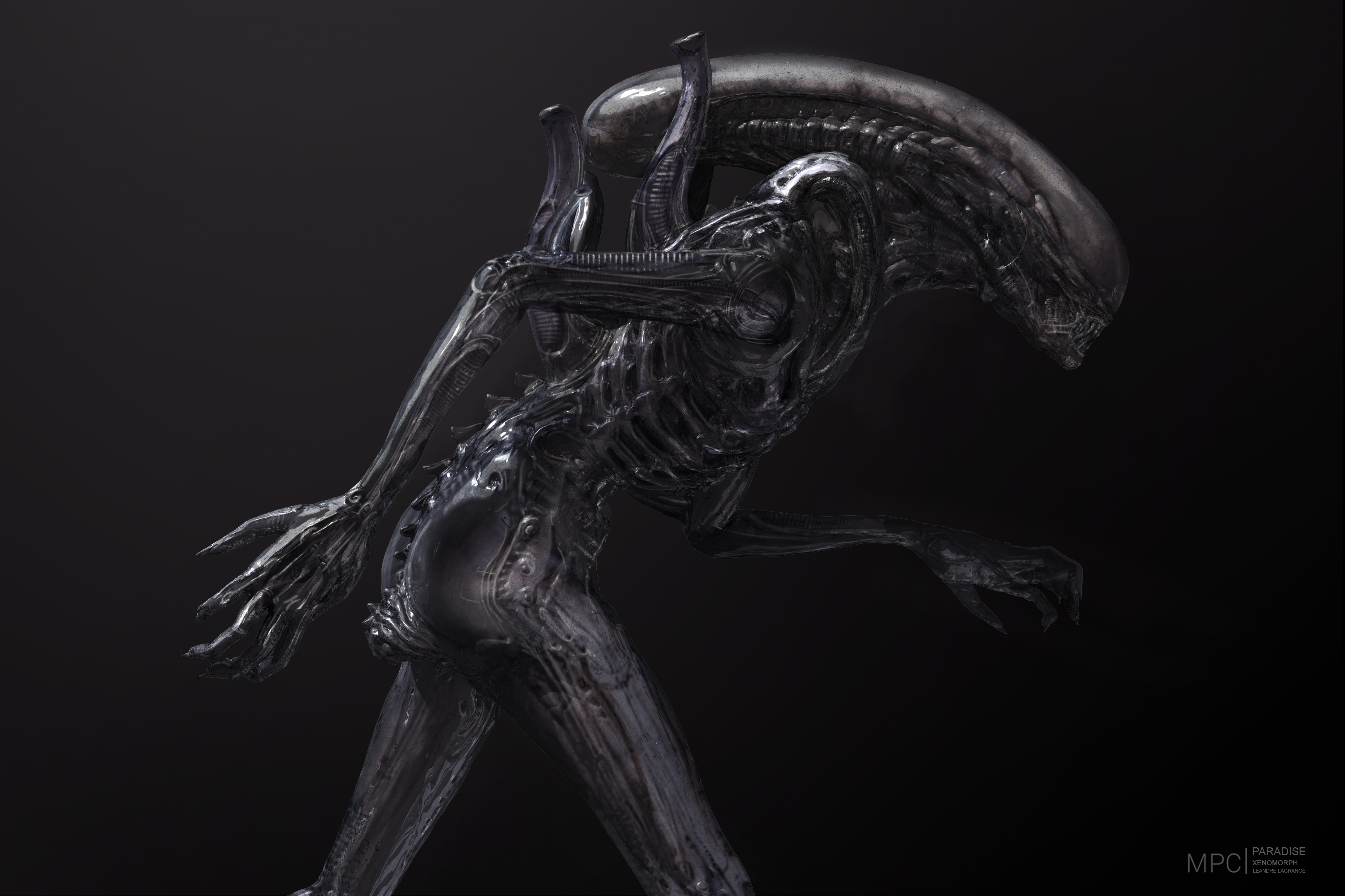 Alien Alien Covenant Xenomorph 5000x3333