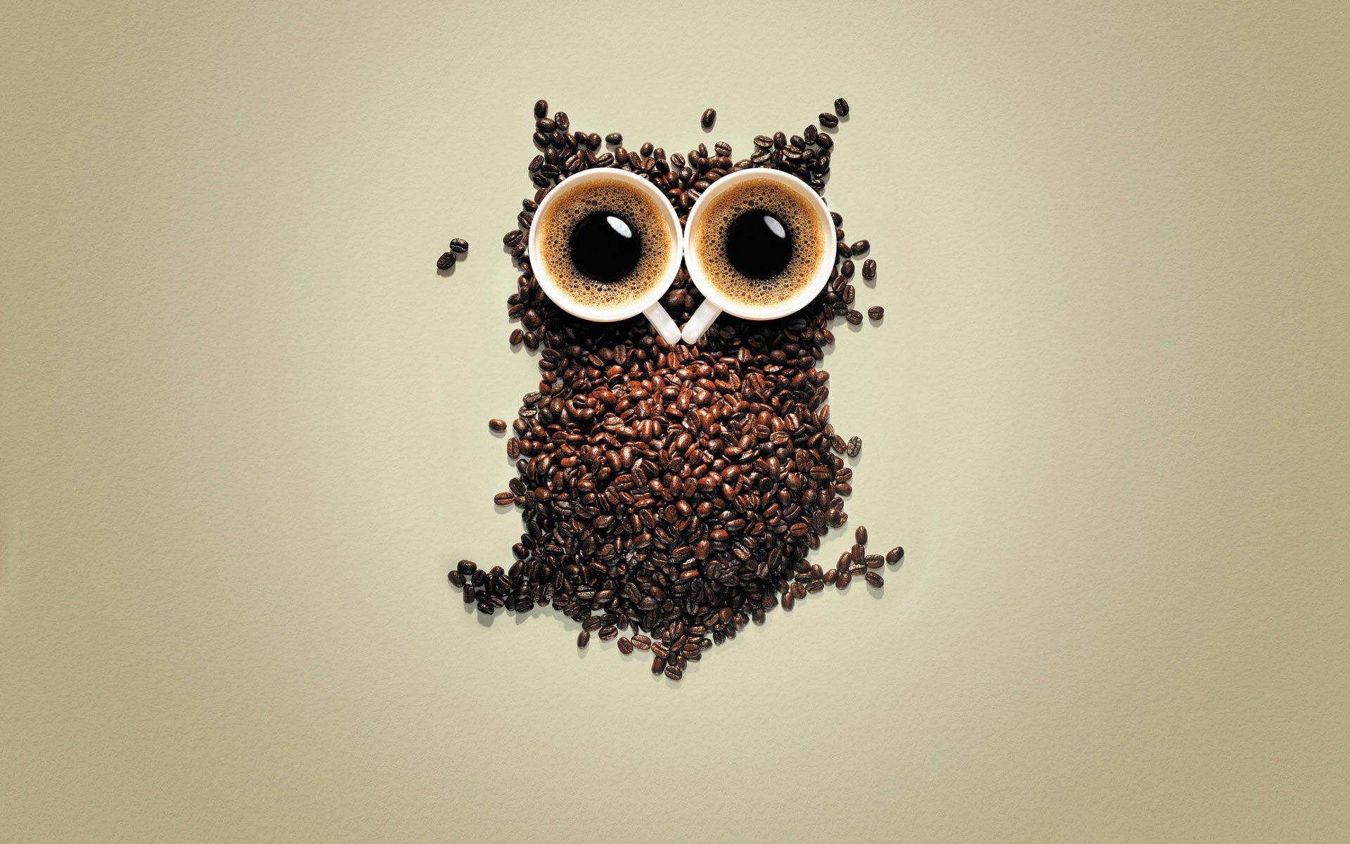 Artistic Coffee Coffee Beans Funny Owl 1920x1200