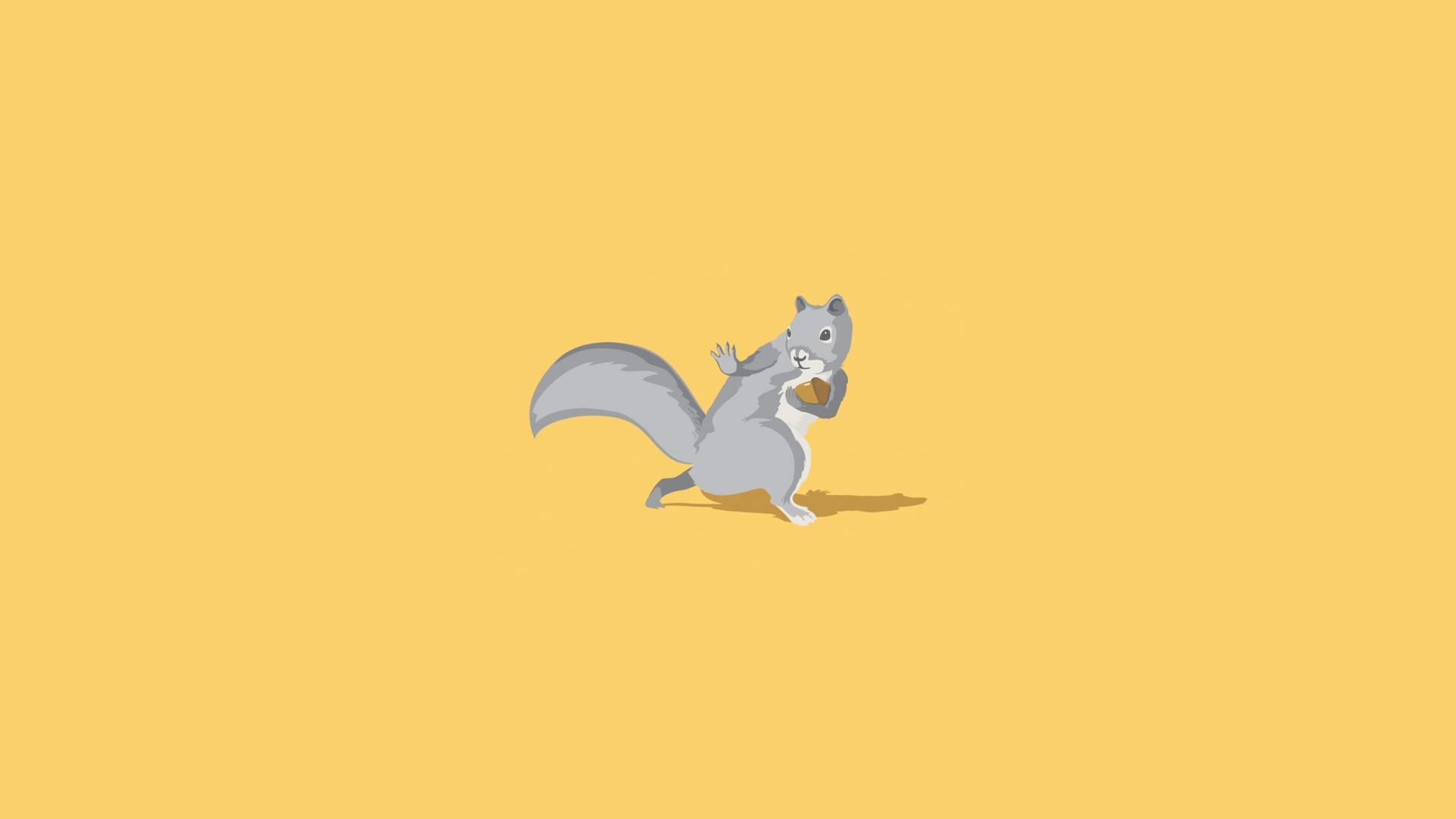 Squirrel 1920x1080