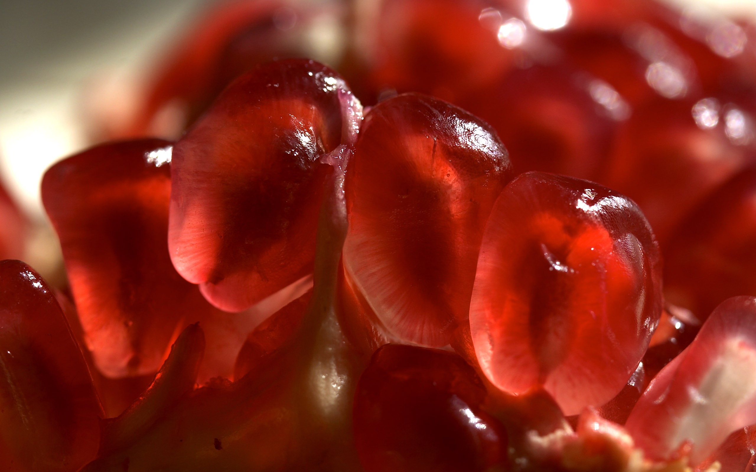 Food Pomegranate 2560x1600