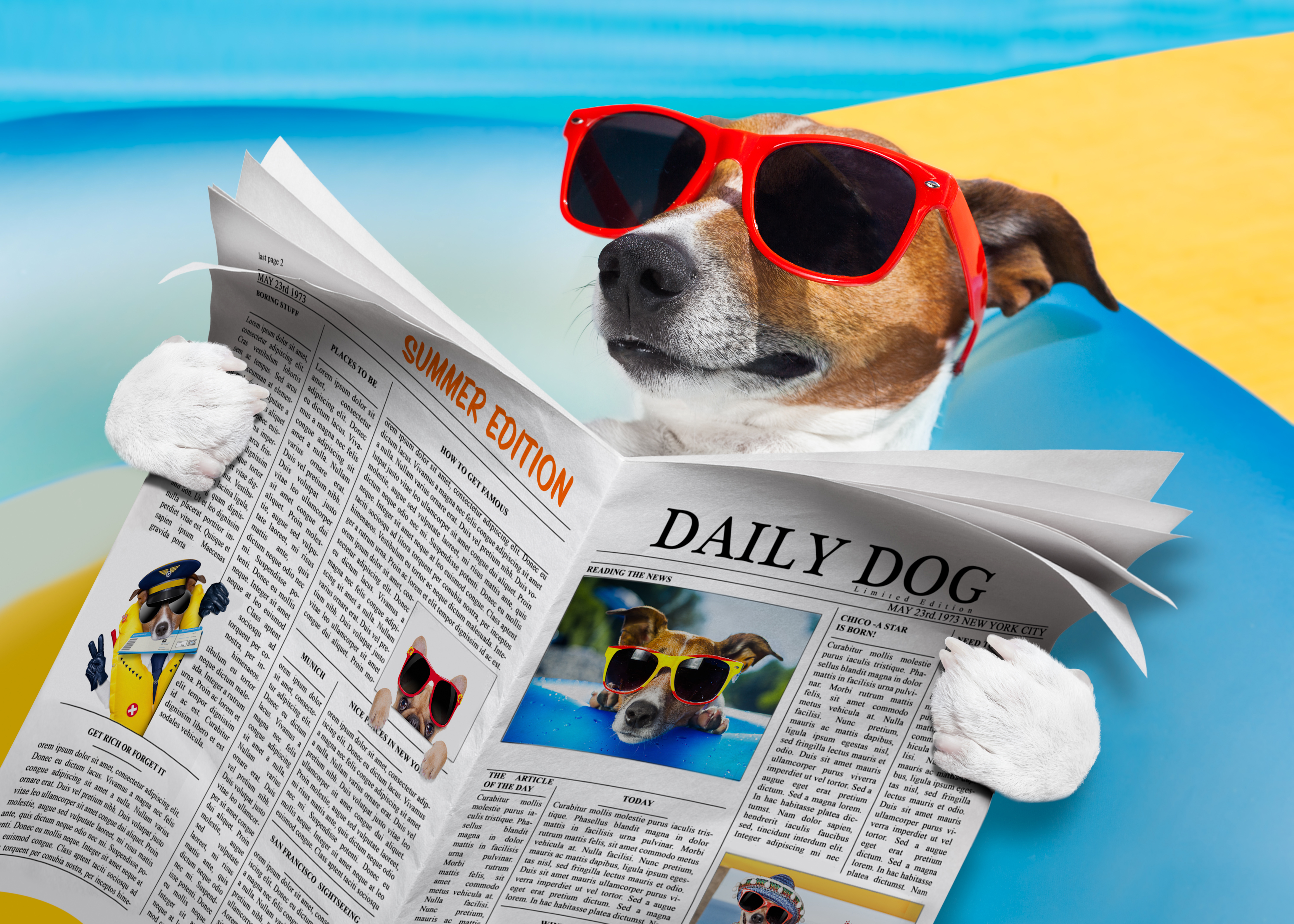 Dog Jack Russell Terrier Newspaper Summer Sunglasses 5980x4272