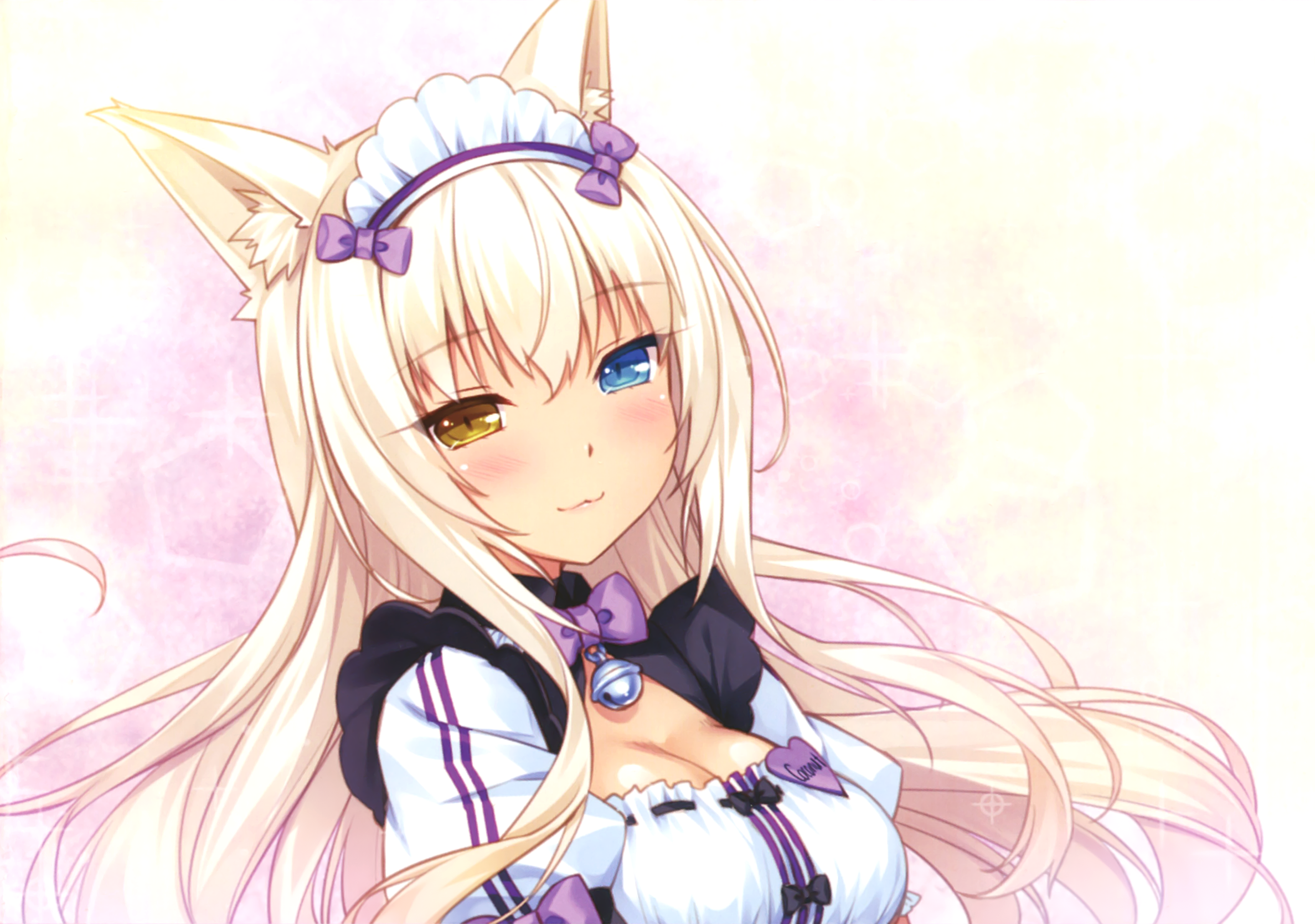 Cat Girl Coconut Nekopara Heterochromia Nekopara 2375x1669