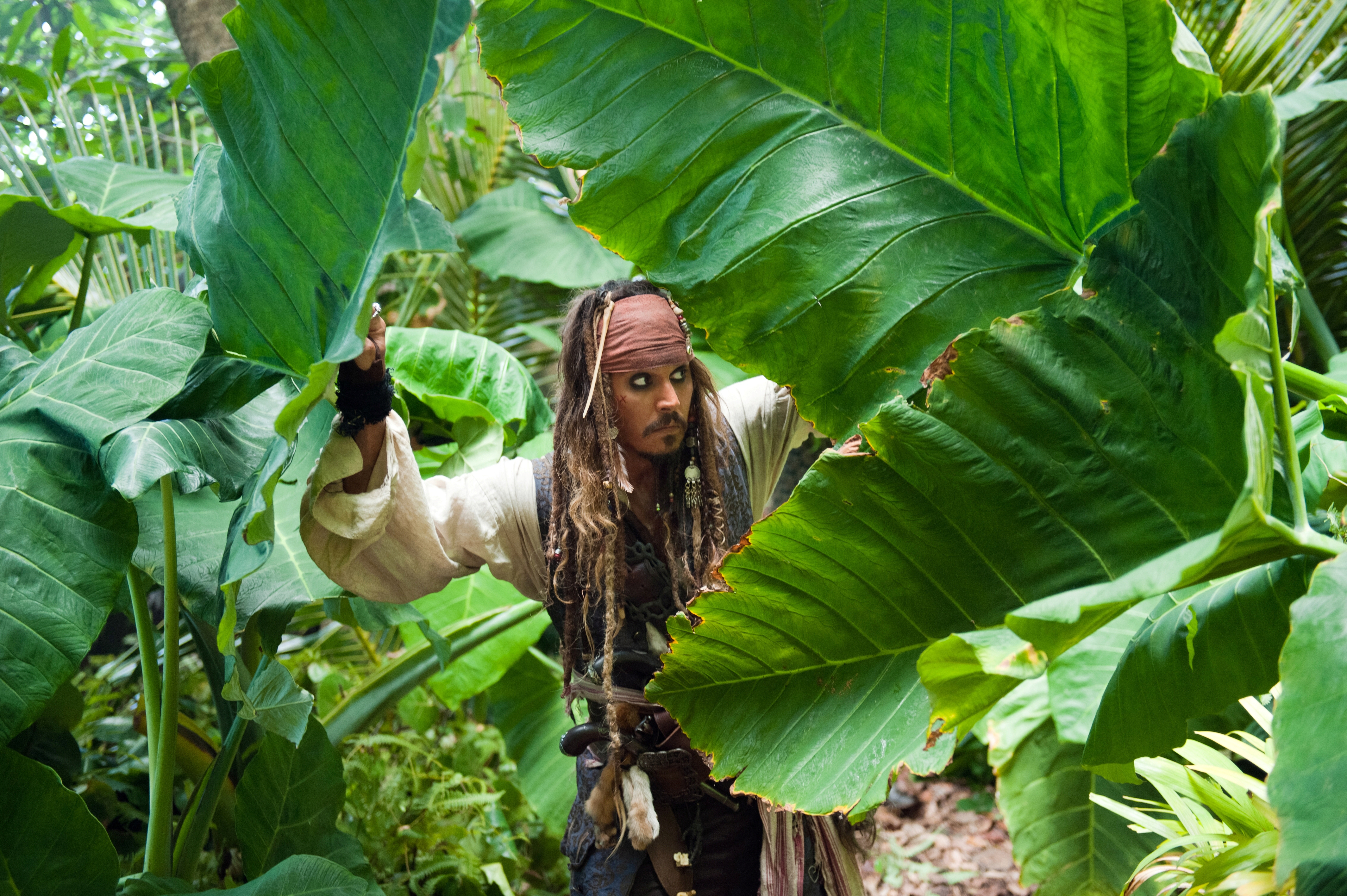 Jack Sparrow Johnny Depp Pirates Of The Caribbean 4256x2832