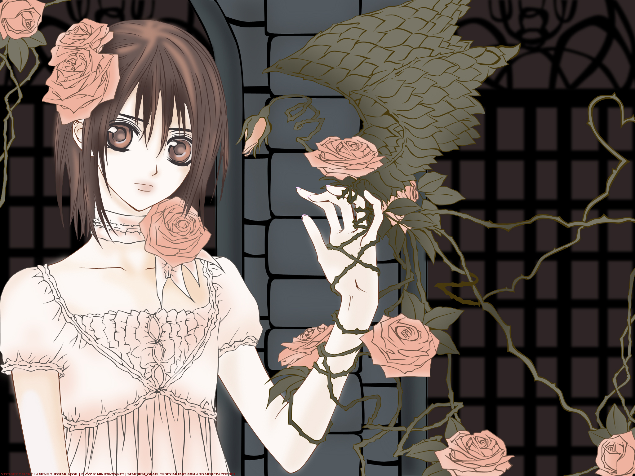 Flower Rose Yuki Cross Yuki Kuran 2048x1536