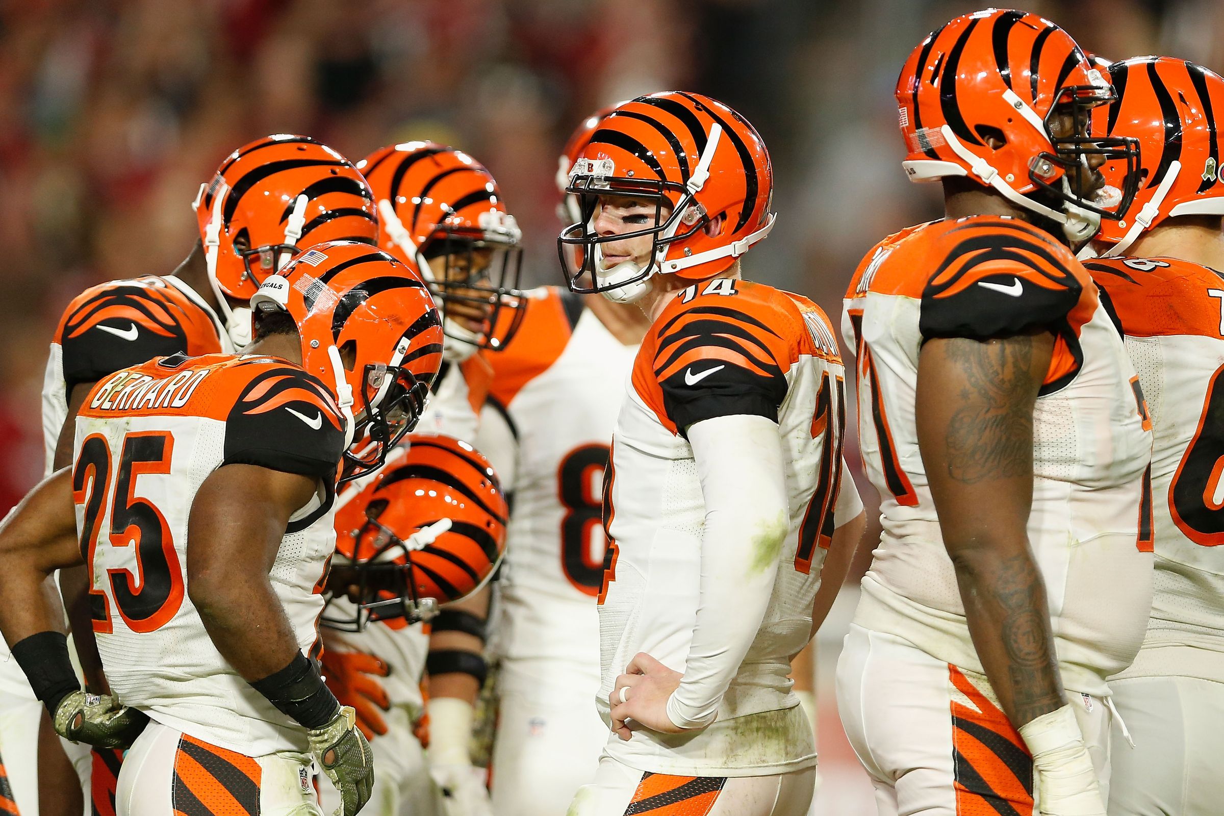 Sports Cincinnati Bengals 2400x1600