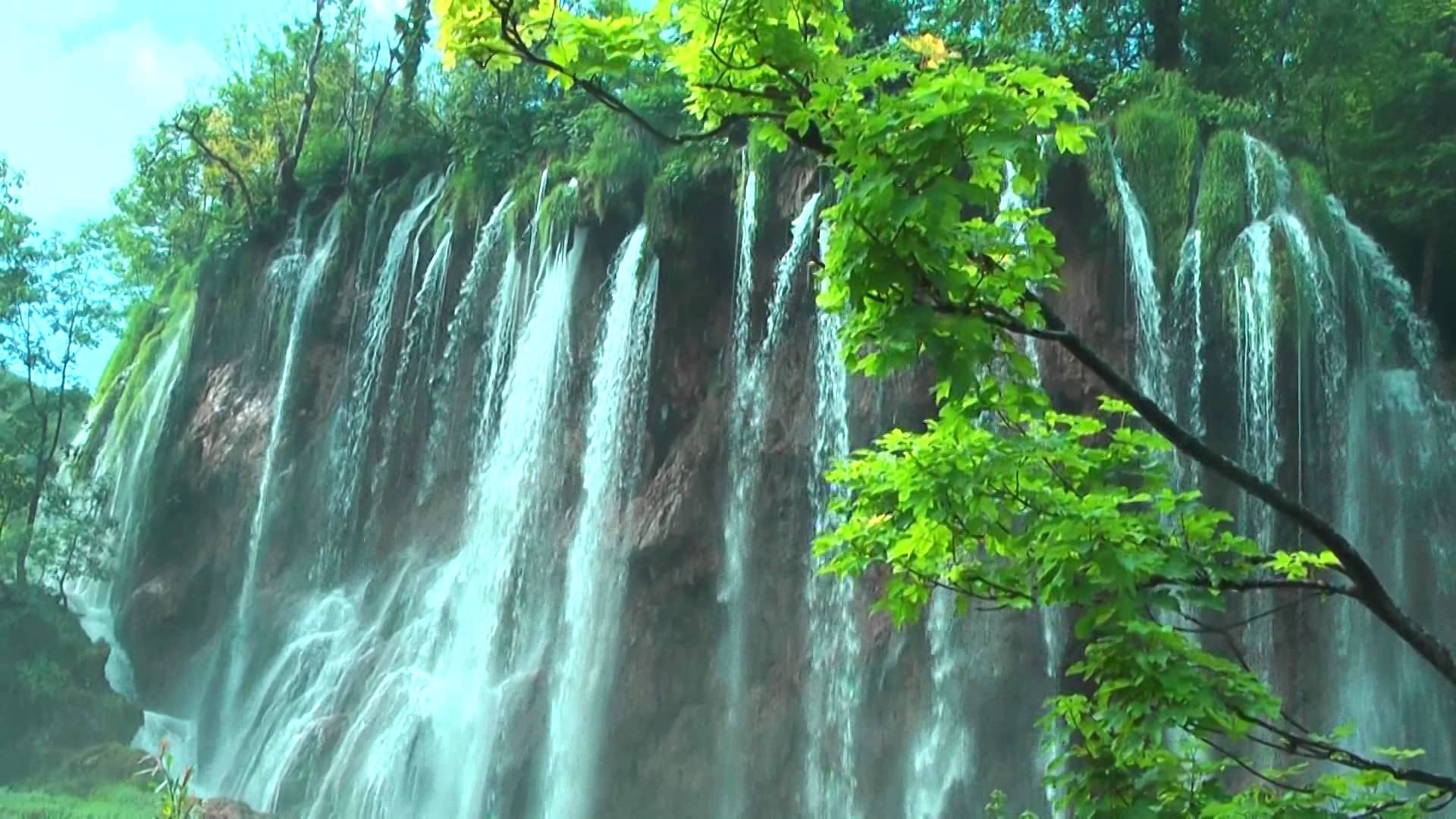 Branch Earth Green Plitvice Lakes National Park Rock Waterfall 1920x1080
