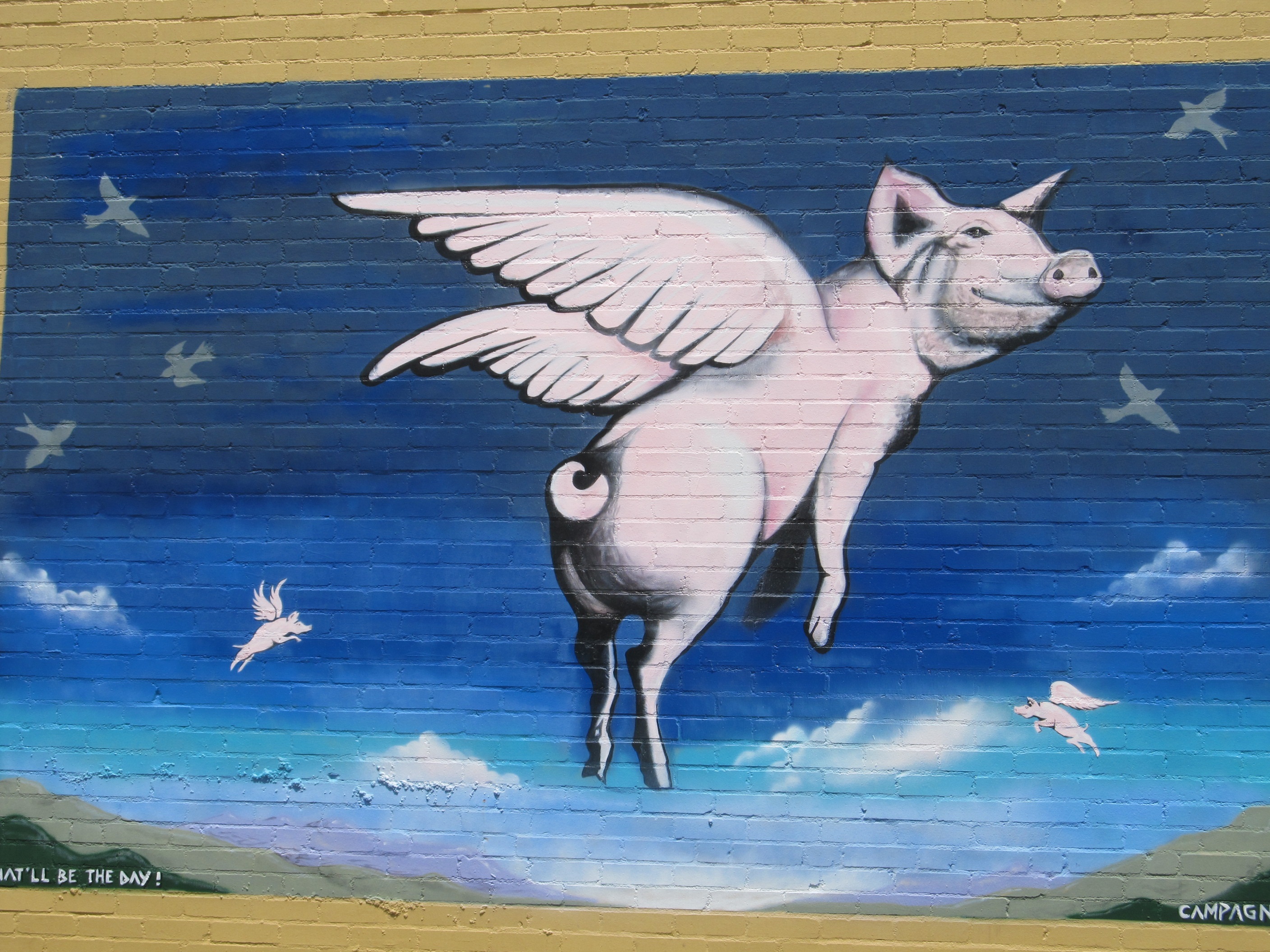 Animal Artistic Graffiti Pig Wall Wings 2816x2112