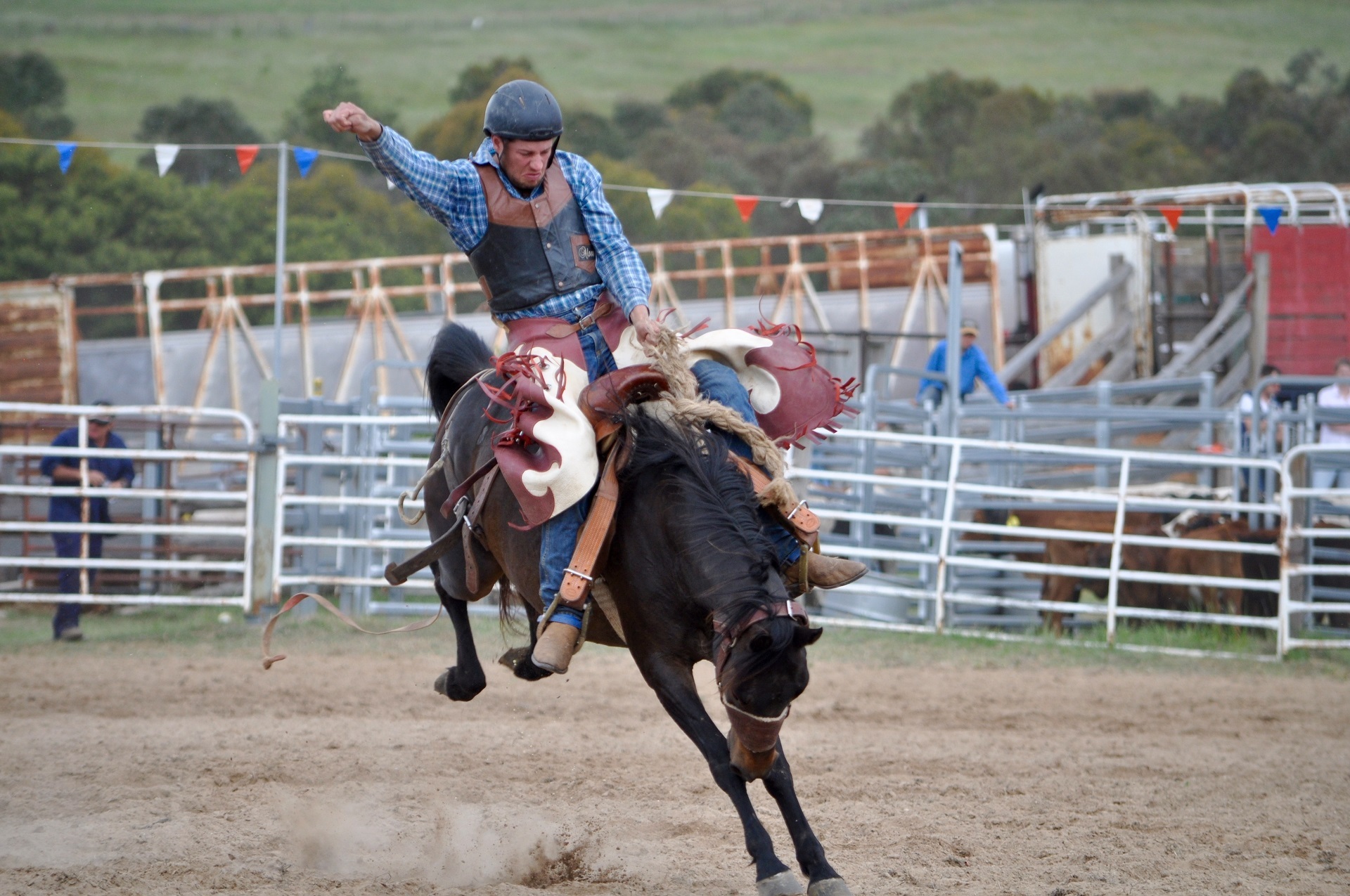 Cowboy Horse Rodeo Sport 1920x1275