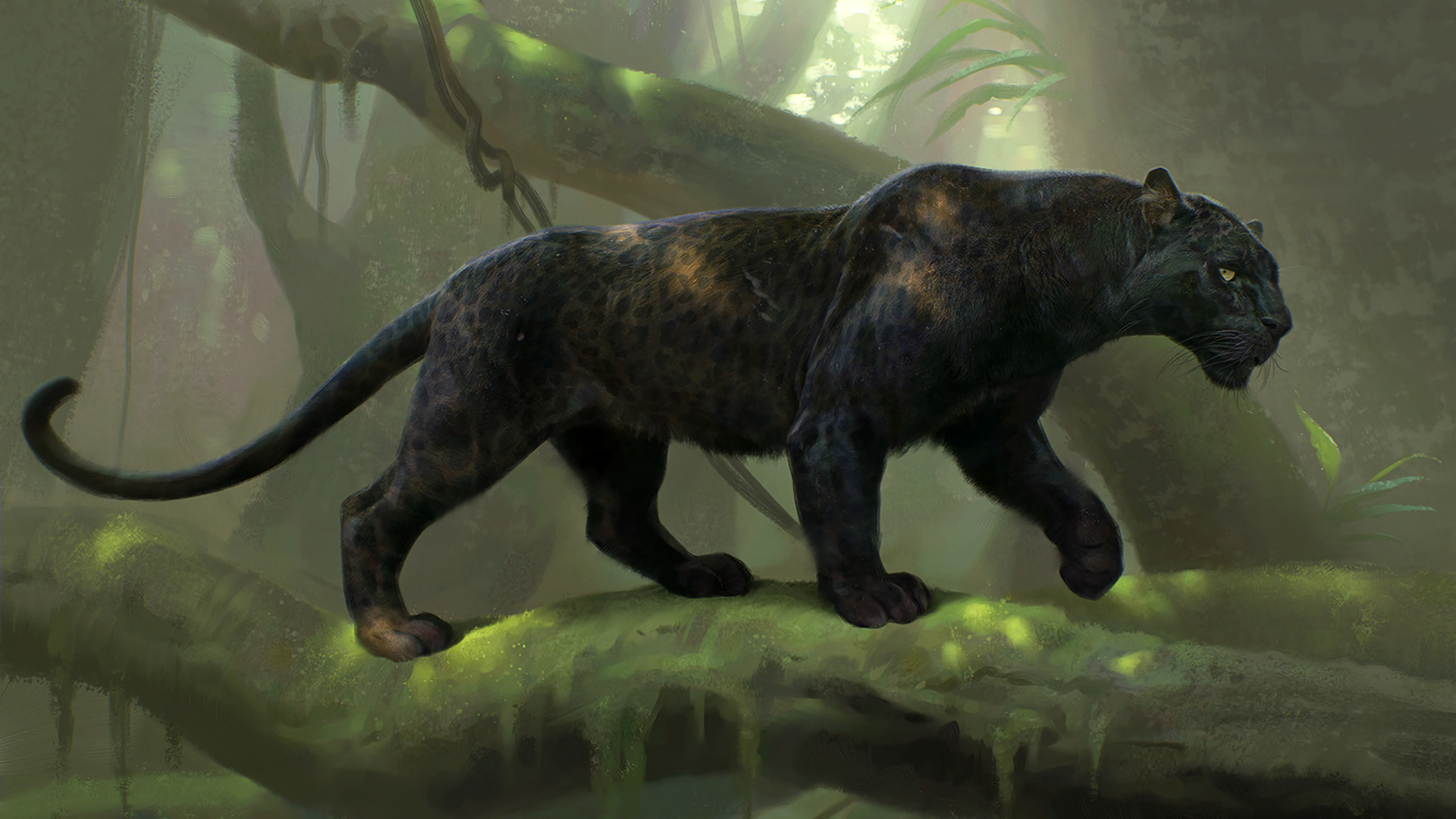 Animal Bagheera Black Panther 1920x1080