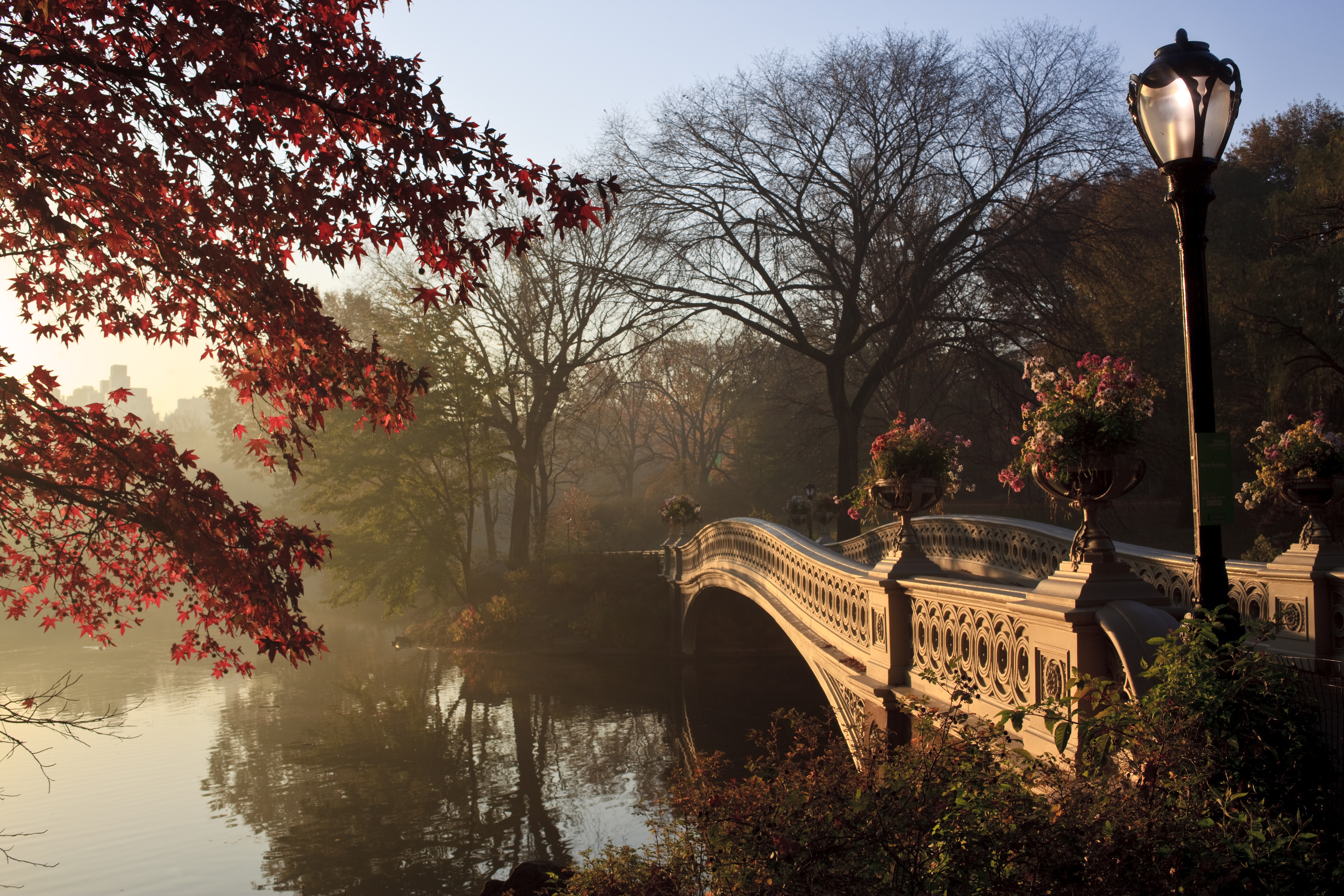 Bow Bridge Bridge Central Park Fall Foliage New York 4500x3000