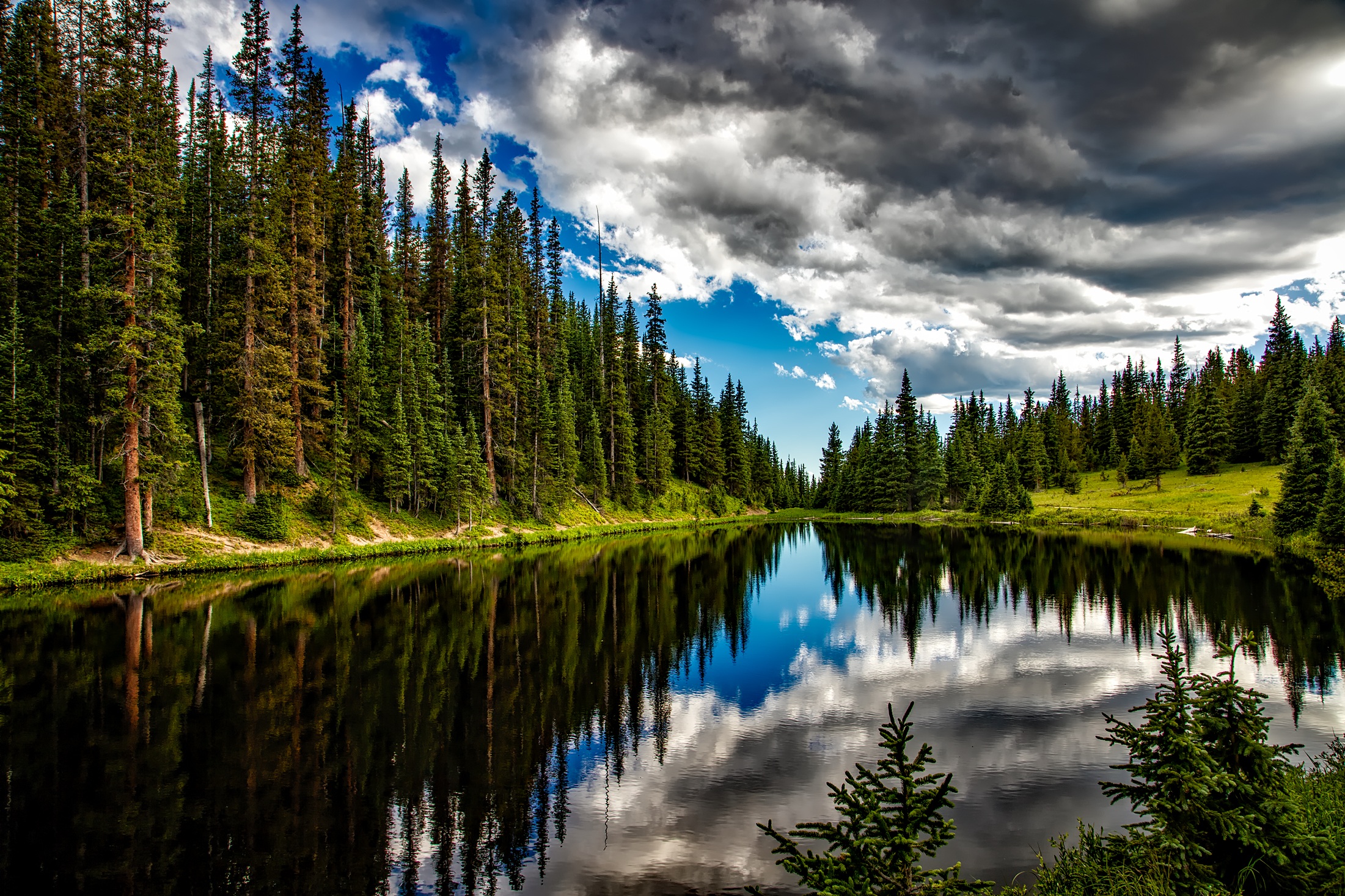 Cloud Colorado Forest Lake National Park Nature Reflection Tree 2201x1467