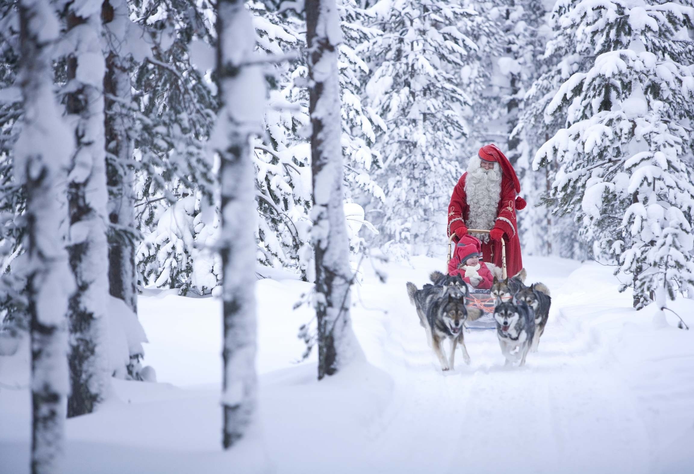 Child Christmas Dog Santa Sleigh Snow Winter 2305x1576