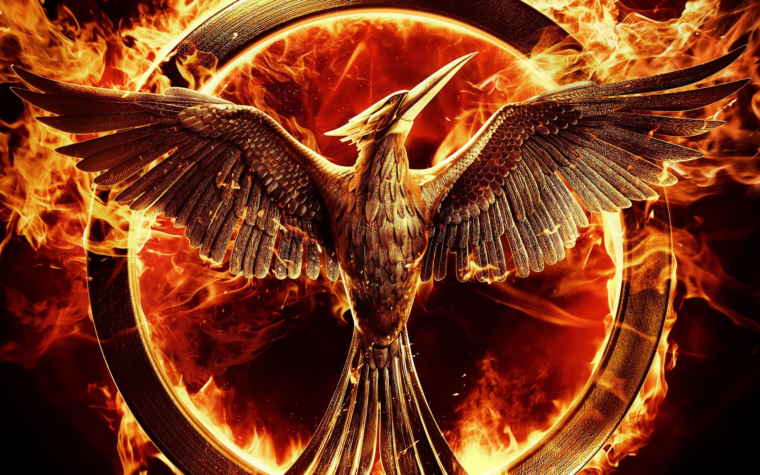 Fire Mockingjay The Hunger Games 2880x1800