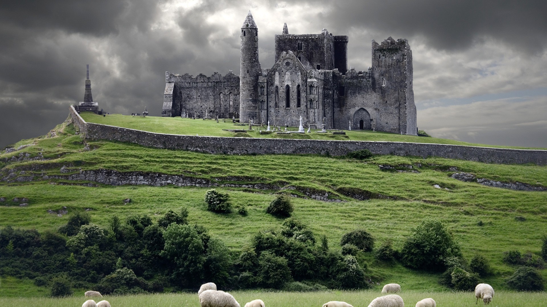 Castle Countryside Earth Historic Landscape Nature Sheep 1920x1080