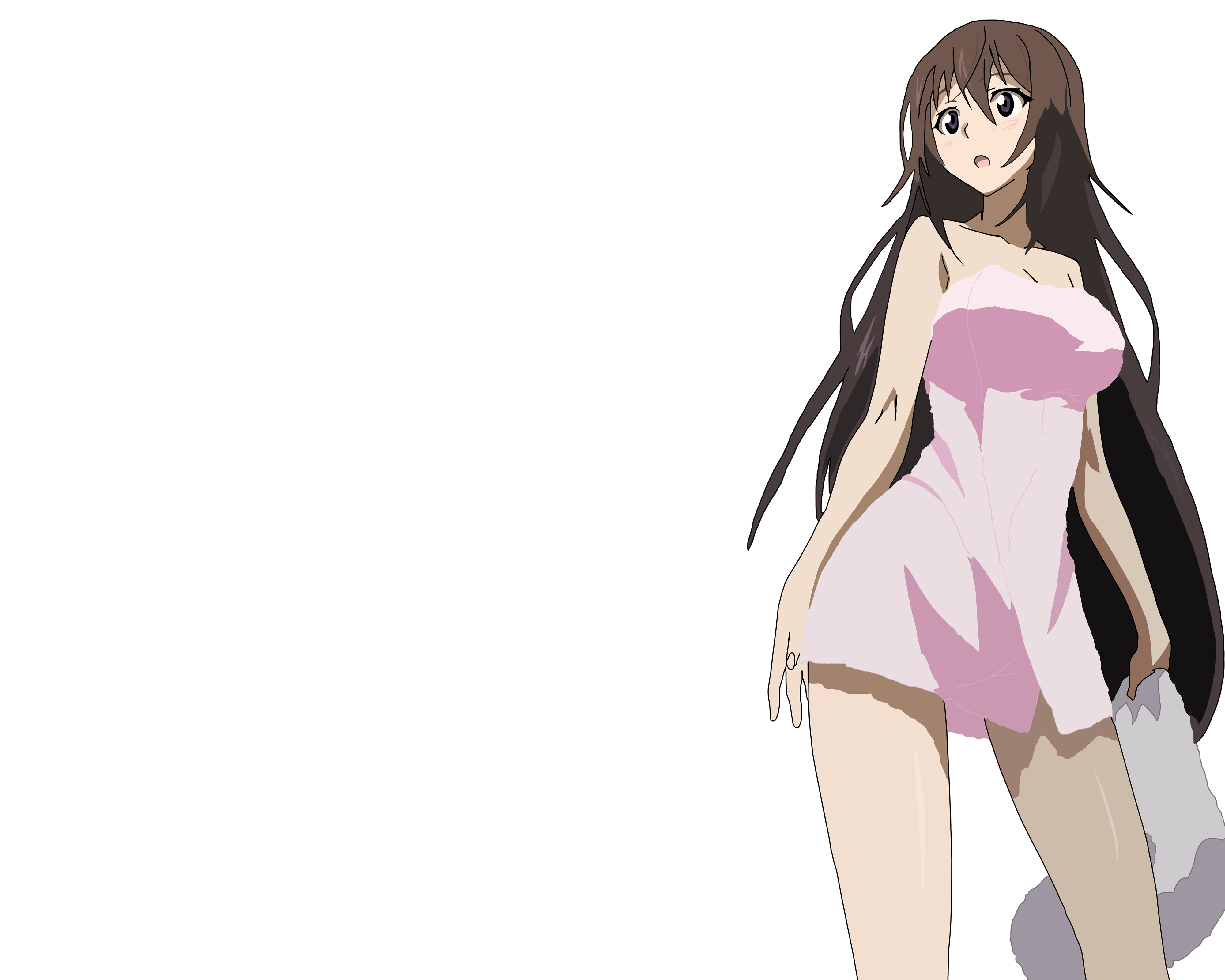 Anime Infinite Stratos 4000x3200