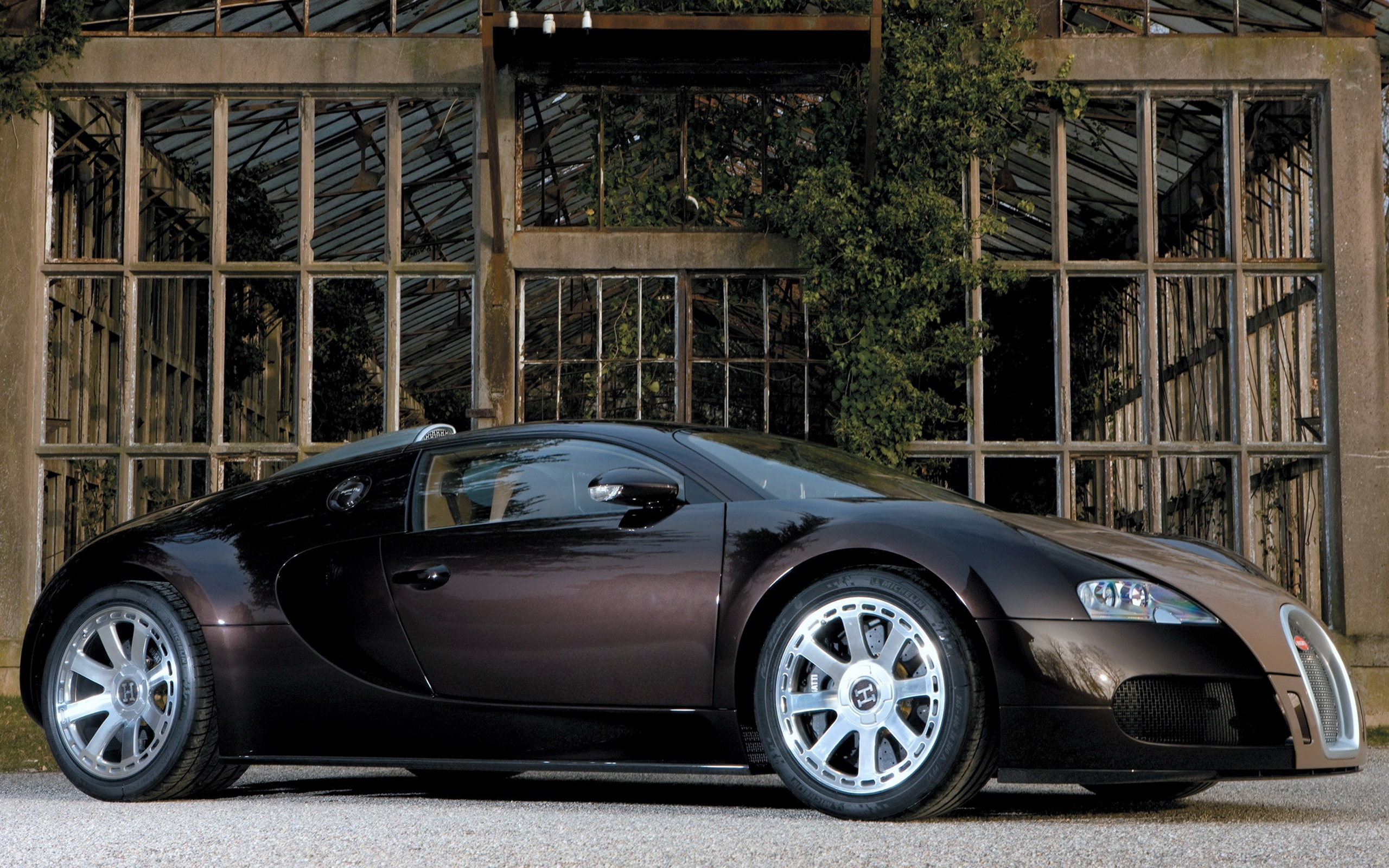 Vehicles Bugatti 2560x1600