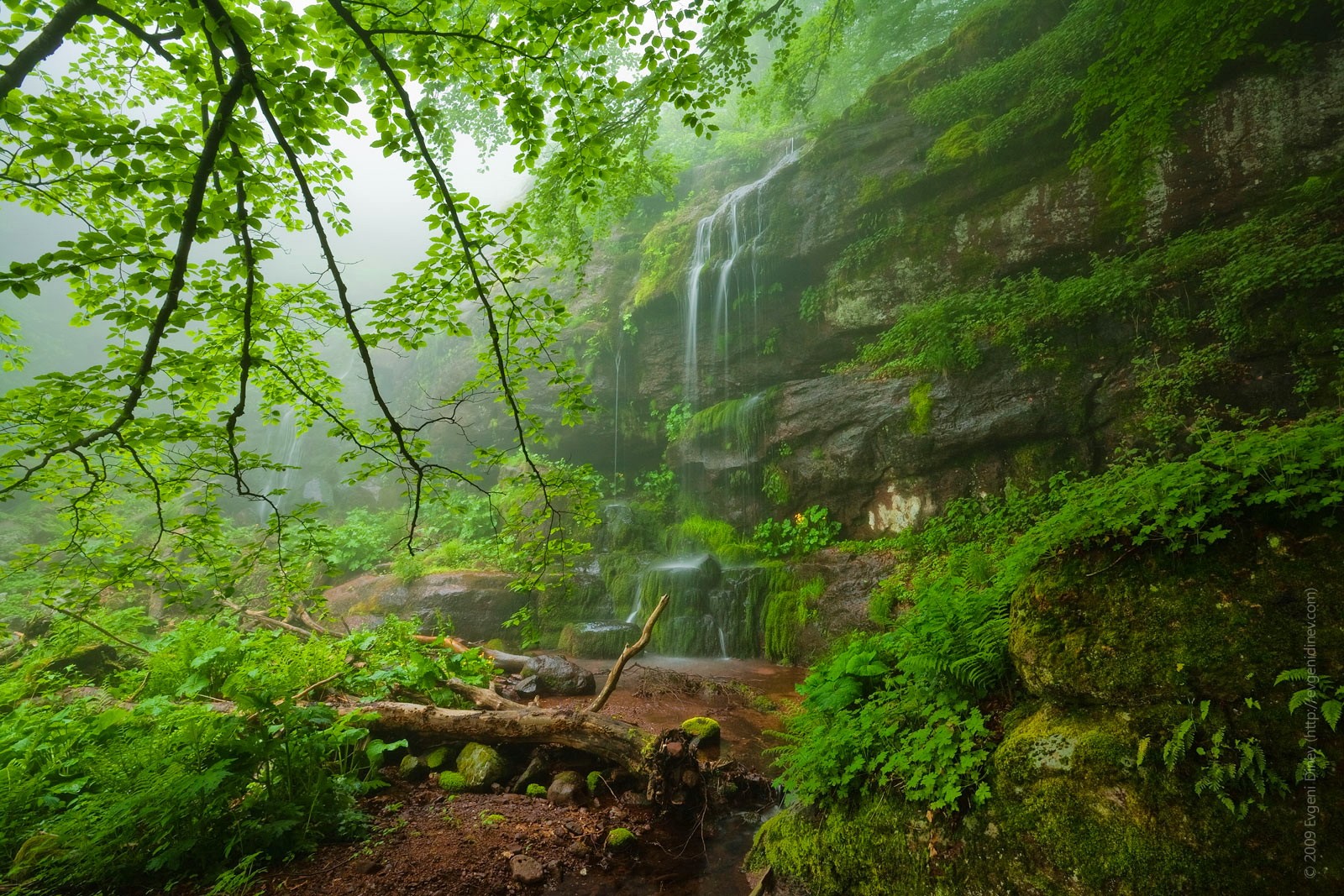 Bulgaria Earth Forest Green Rock Tree Waterfall 1600x1067