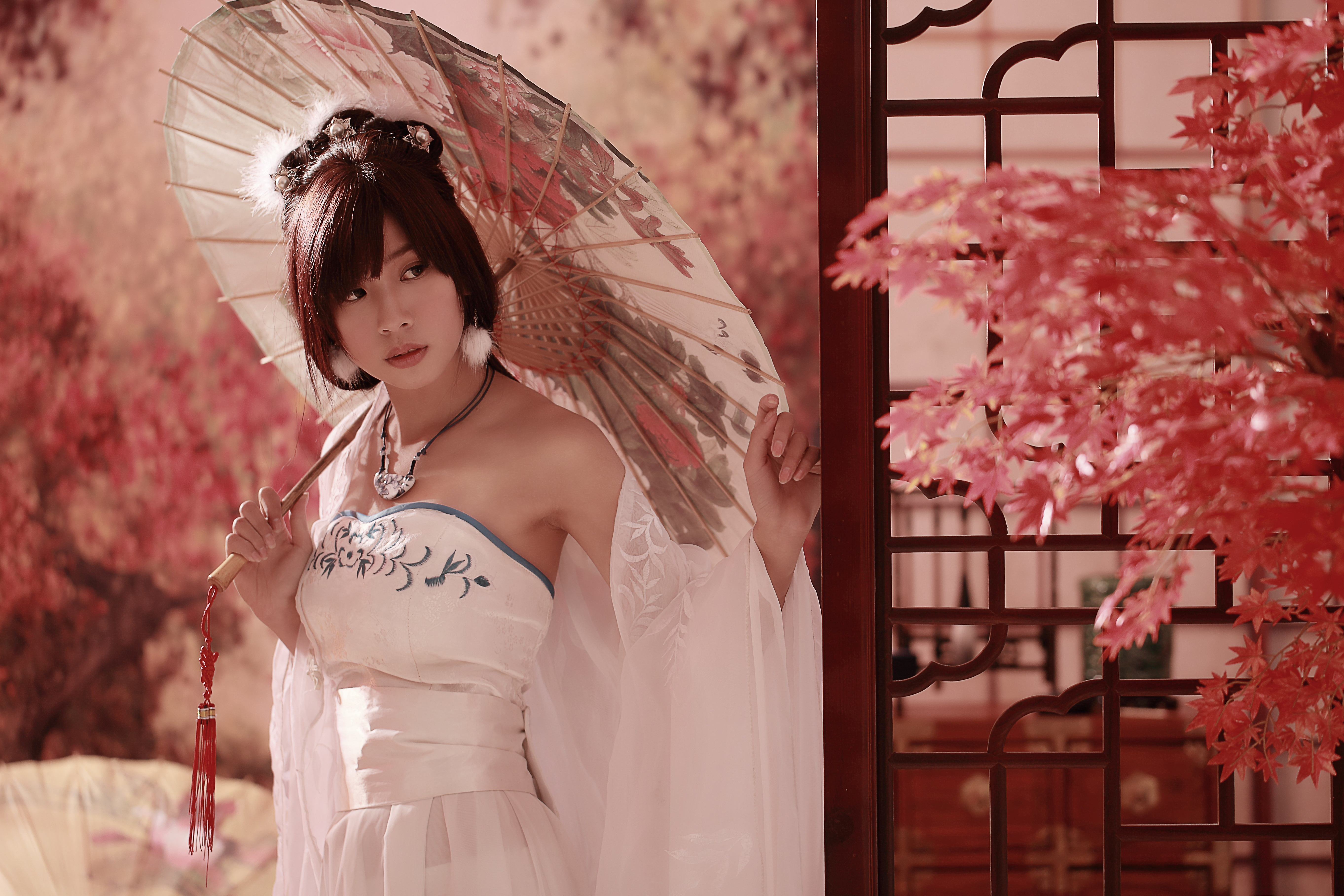 Asian Bonsai Dress Taiwanese Tu Tu Umbrella 5450x3633