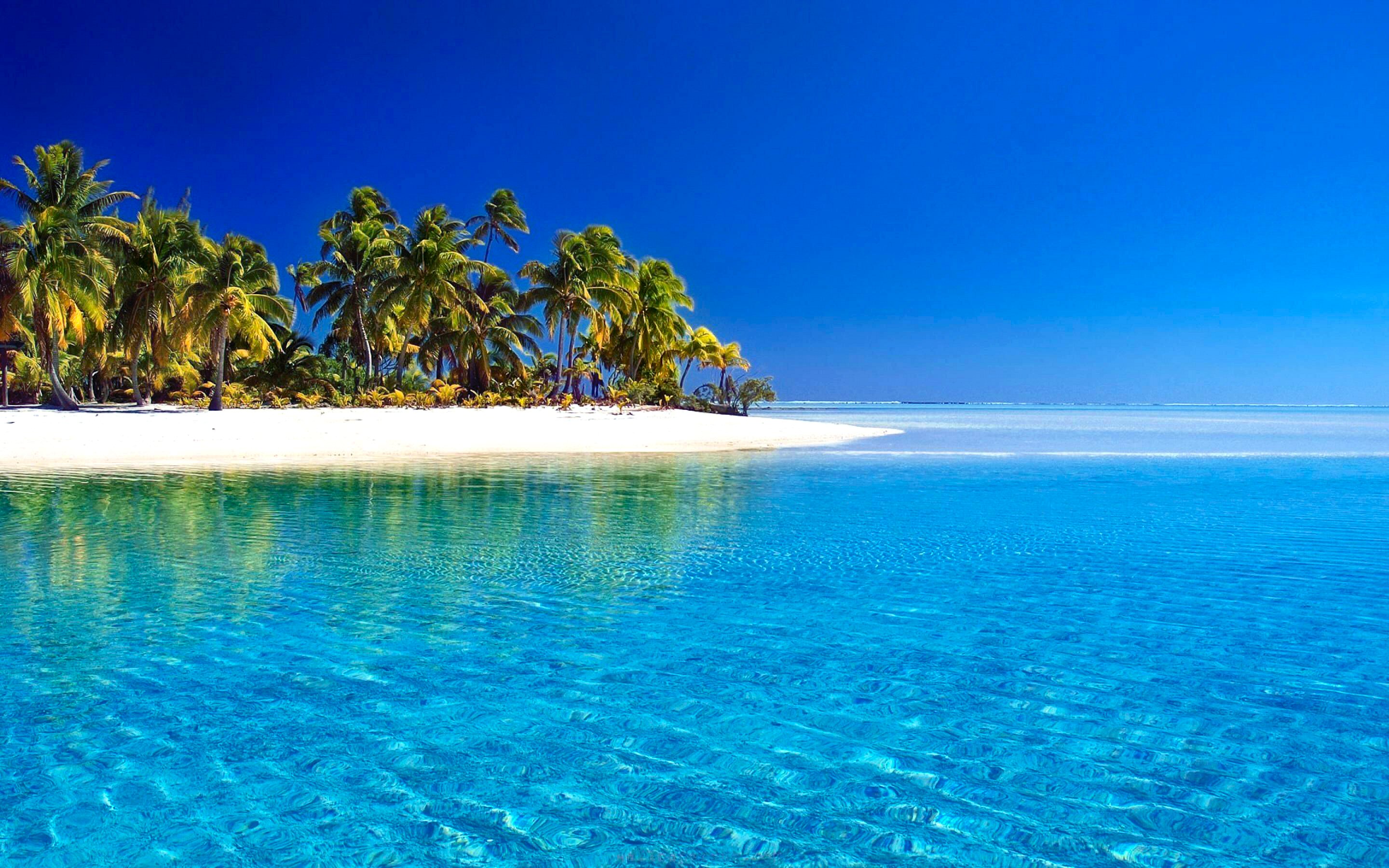 Beach Blue Horizon Island Palm Tree Sea Summer Tropical 2880x1800