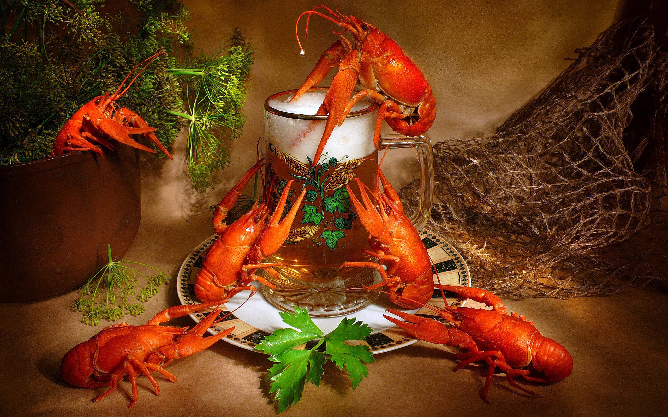 Food Lobster 2560x1600