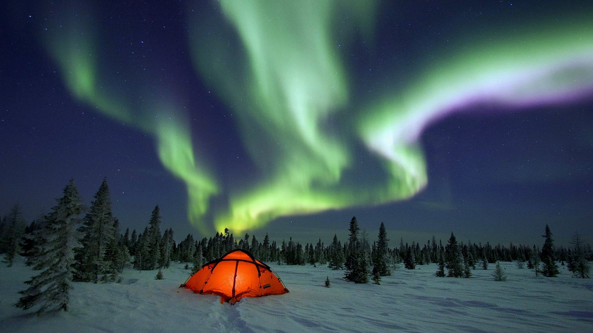 Aurora Borealis Camping Light Sky Snow Starry Sky Tent Winter 1920x1080