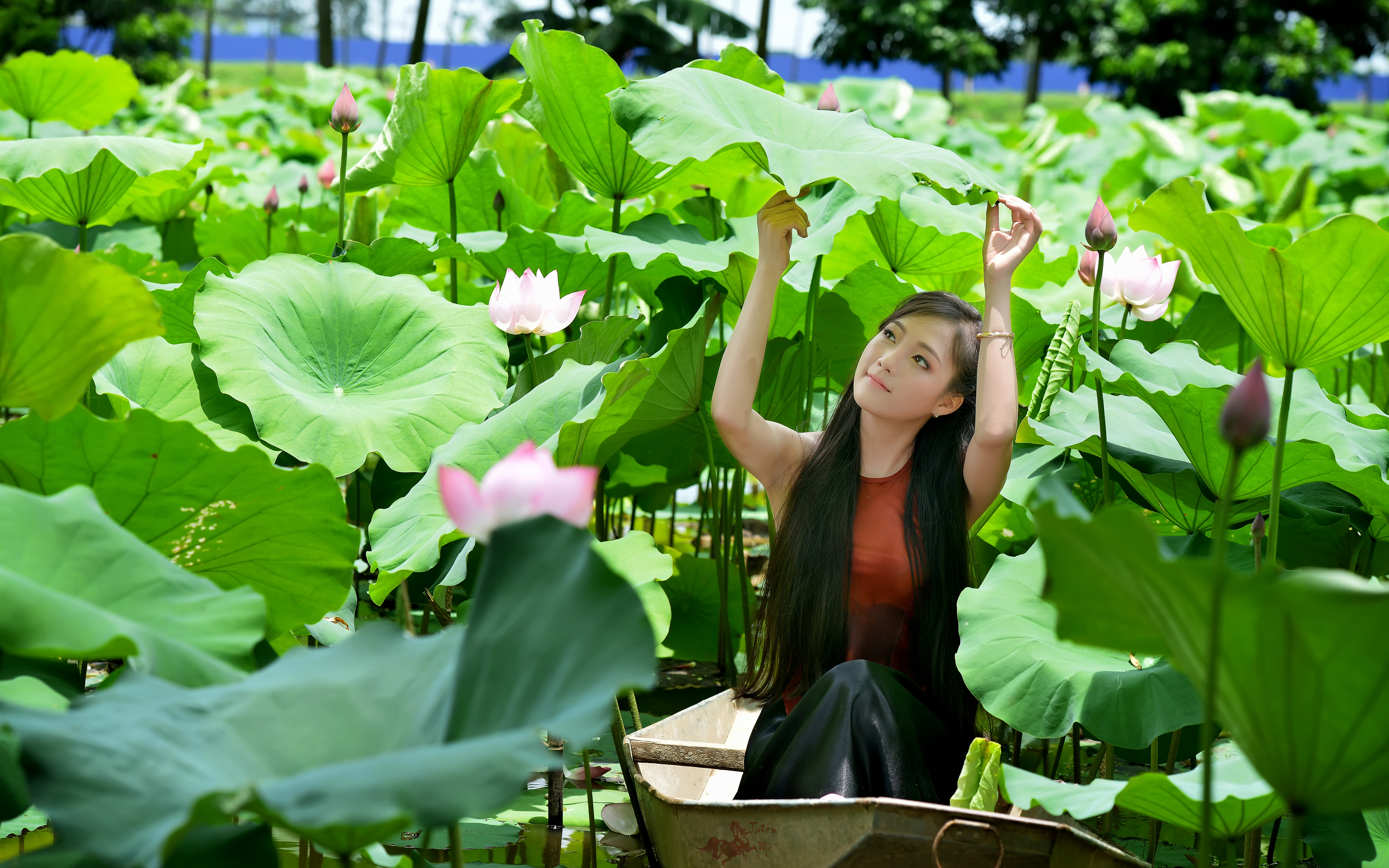 Asian Boat Girl Leaf Lotus Pond Vietnamese Woman 6400x4000