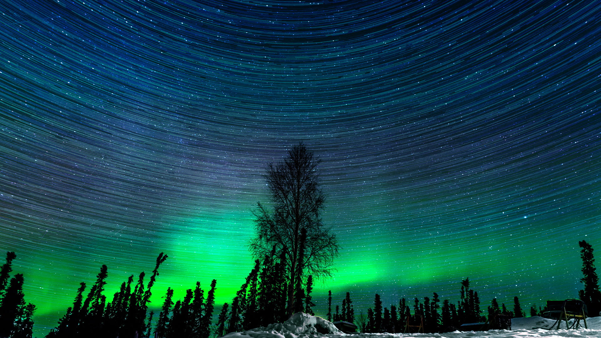 Alaska Aurora Borealis Nature Starry Sky Tree 1920x1080