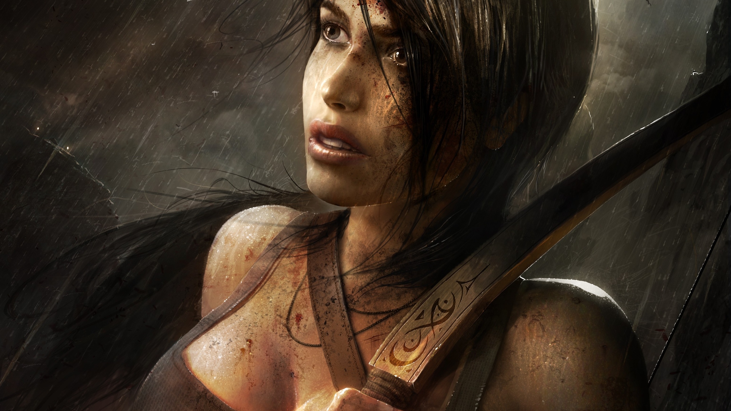 Video Game Tomb Raider 2013 2560x1440
