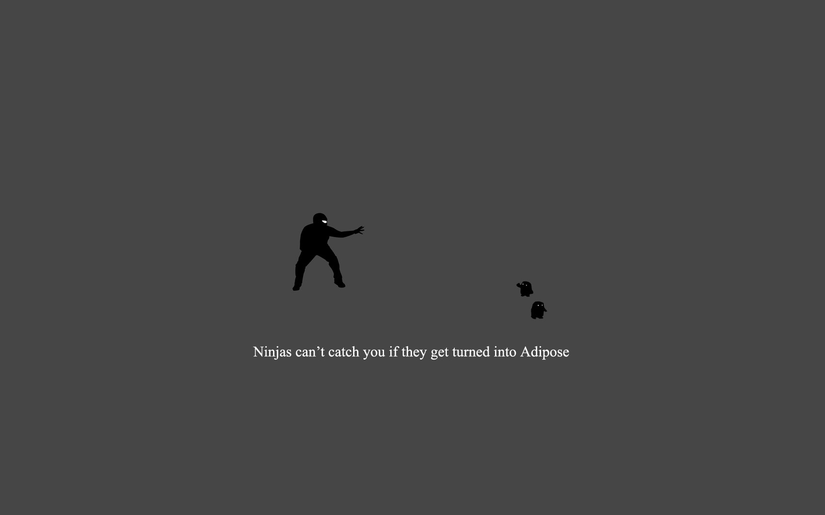 Humor Ninja 1680x1050