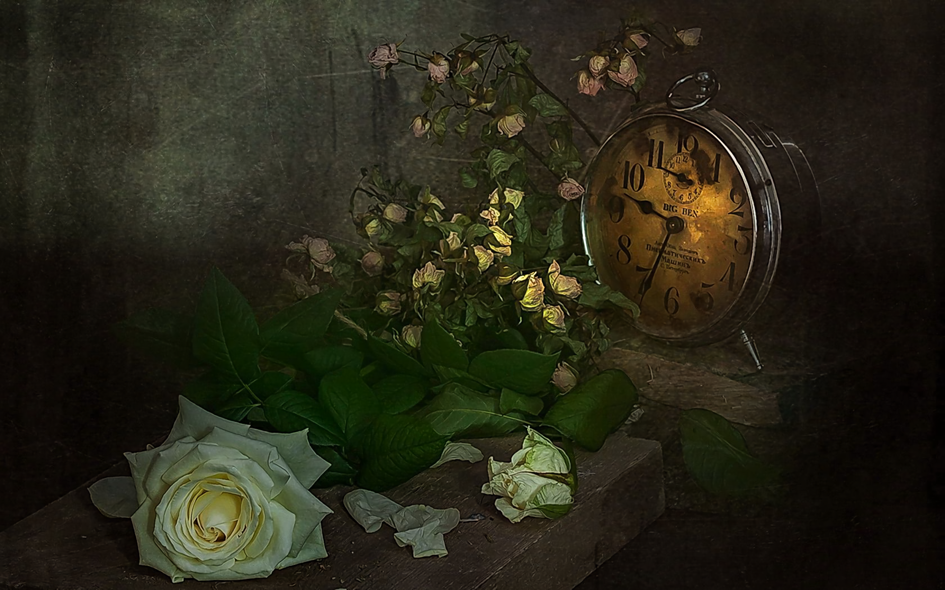 Clock Flower Rose Still Life White Rose 1920x1200