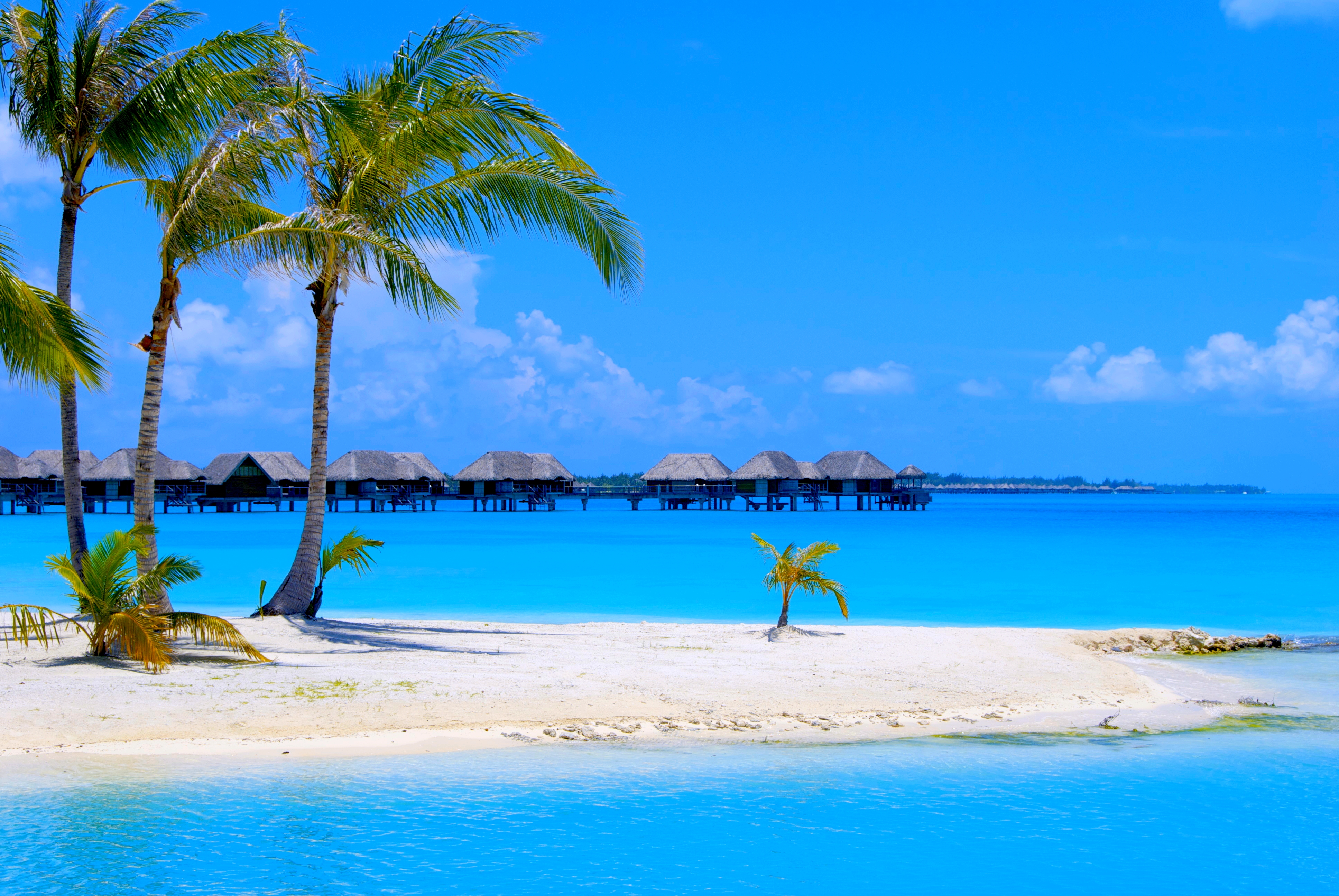 Blue Hut Ocean Palm Tree Resort Sand Tropical Tropics Turquoise 3872x2592