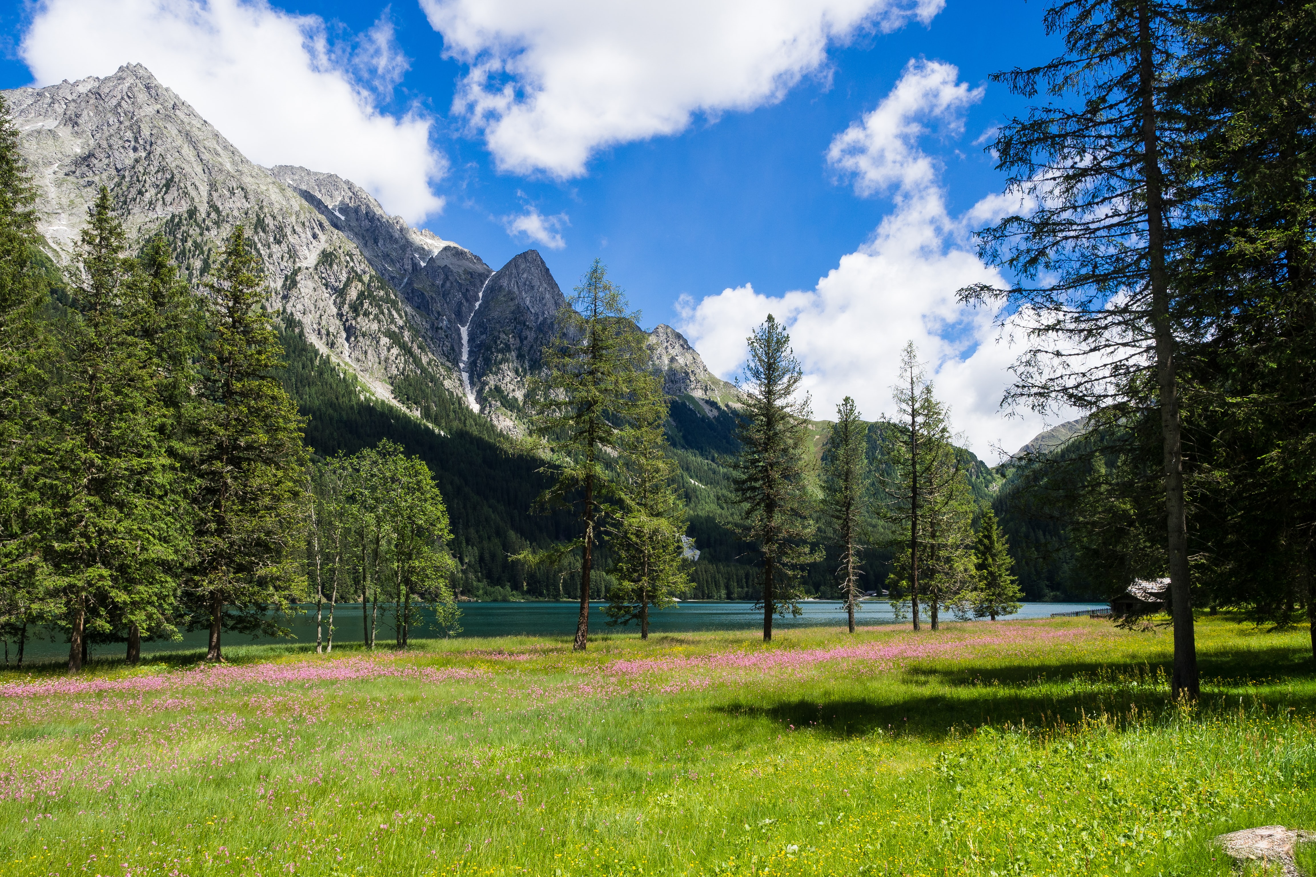 Nature Landscape Mountains Trees Forest Flowers Grass Plants Clouds Sky River Italy Antholzer See 4608x3072