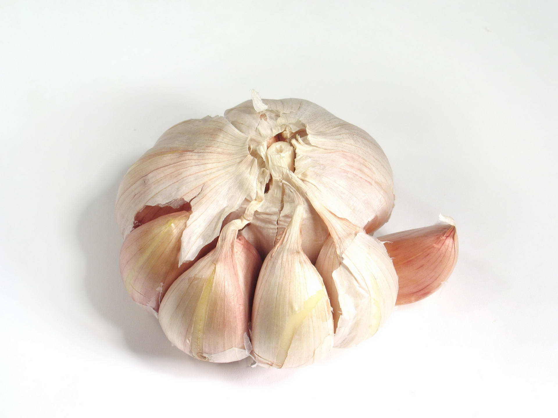 Food Garlic 1920x1440
