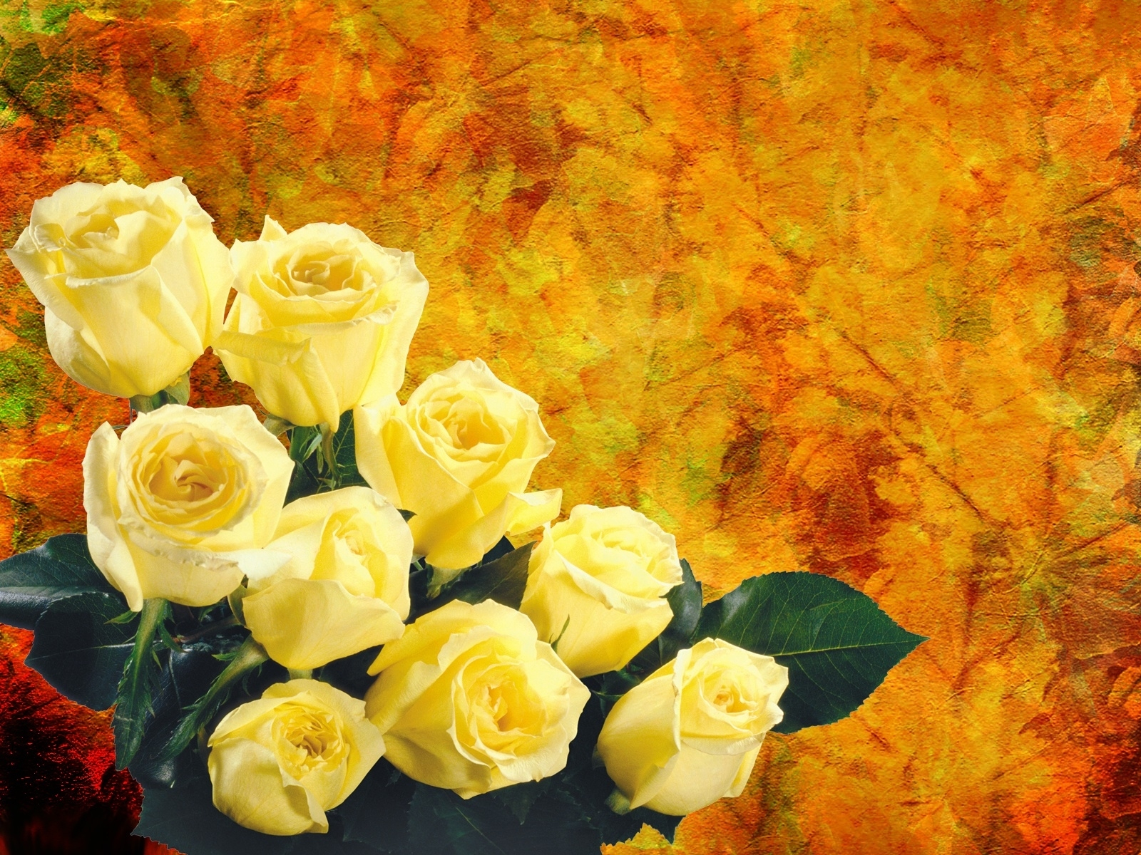 Artistic Flower Rose Yellow Flower Yellow Rose 1600x1200