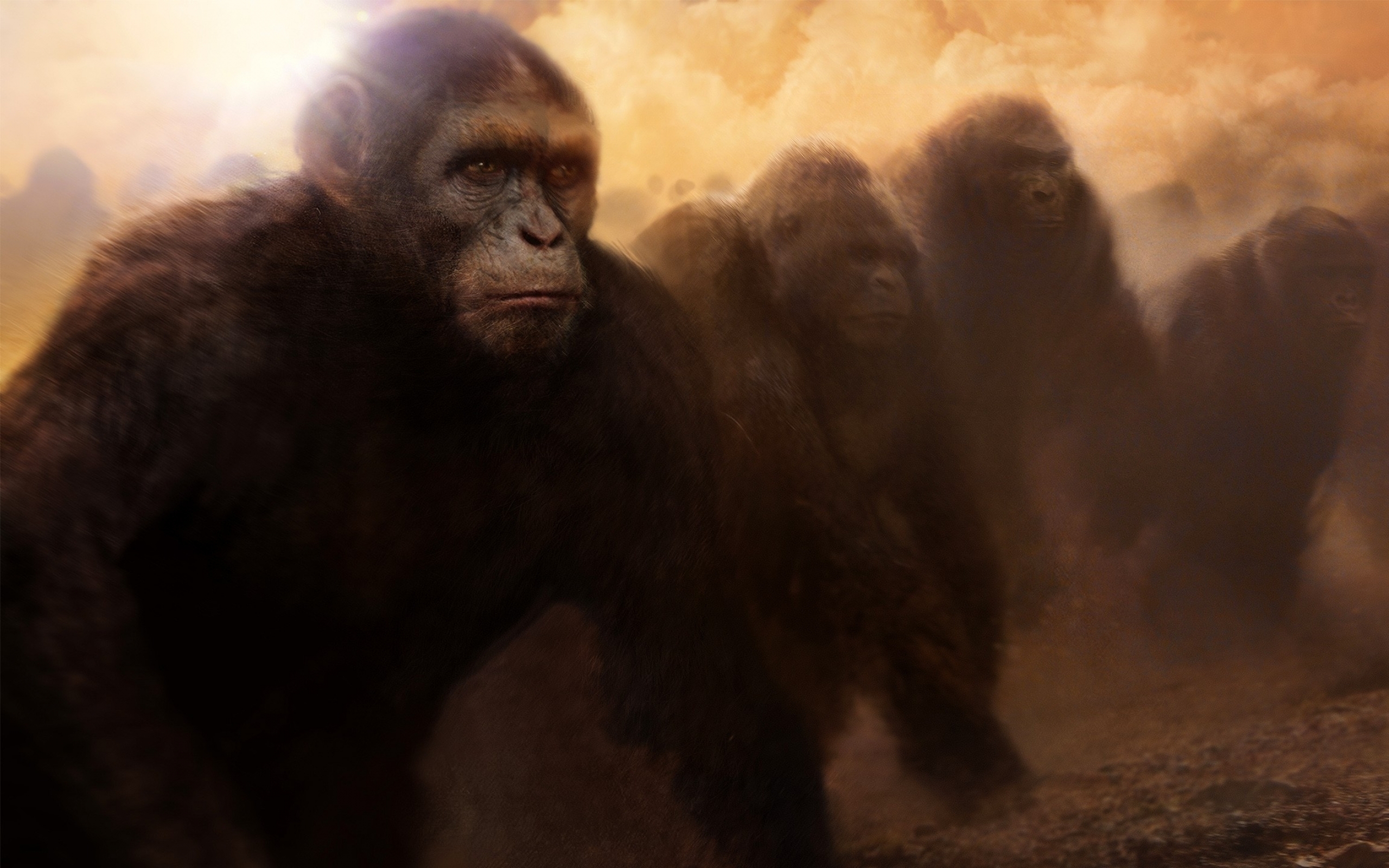 Movie Rise Of The Planet Of The Apes 2560x1600