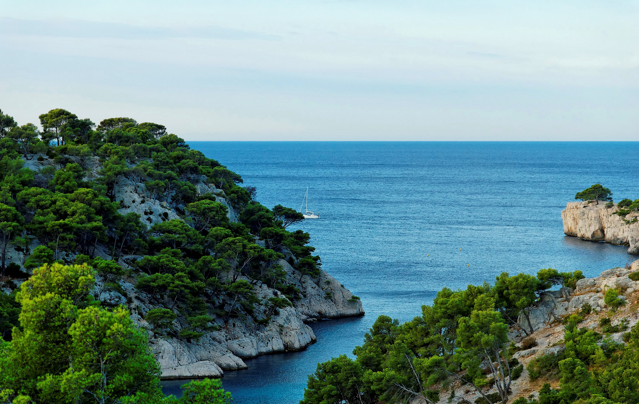 Coastline Earth France Horizon Provence Rock Tree 2055x1300