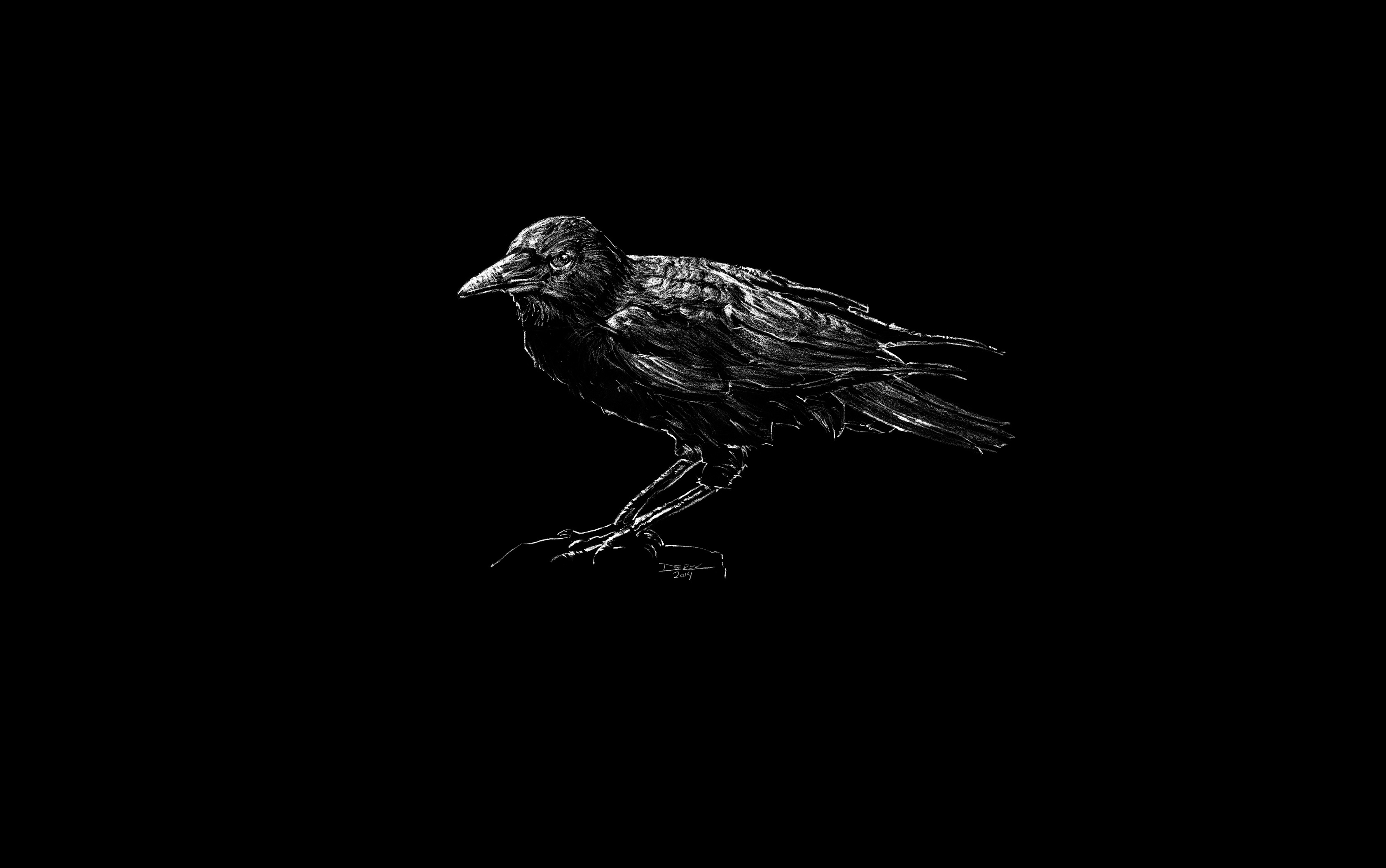 Artistic Bird Black Crow 3365x2108