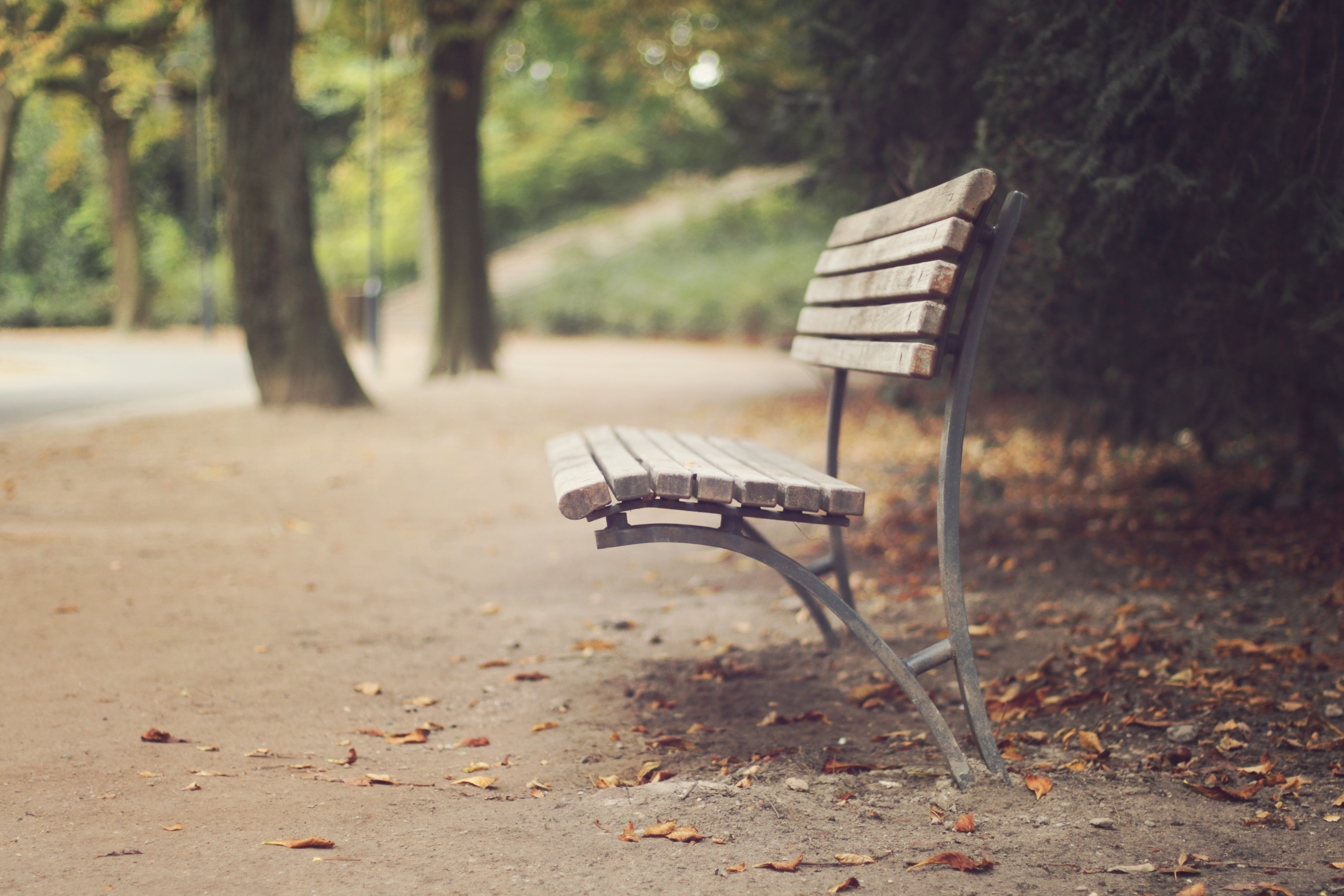 Bench Blur 6000x4000