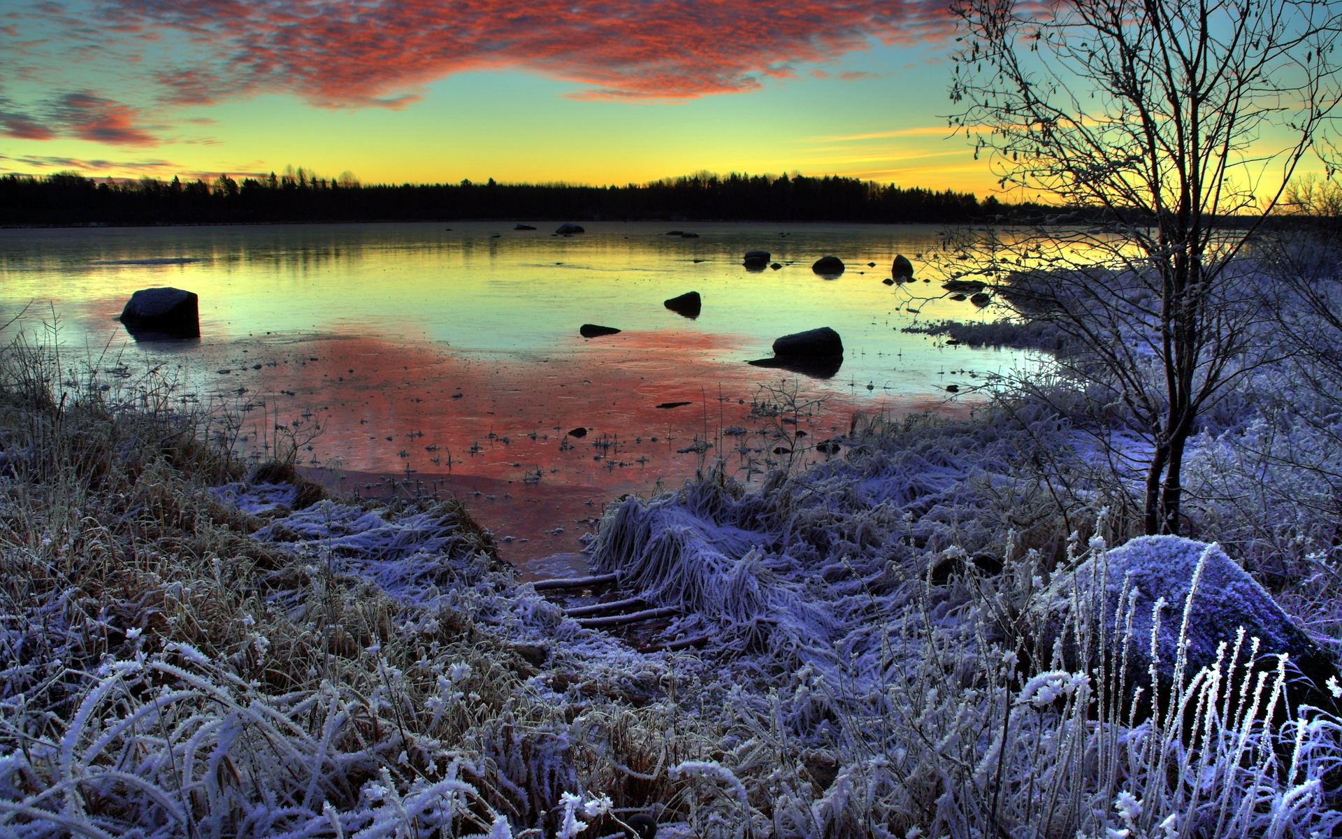 Frost Nature Season Sunset Winter 1920x1200