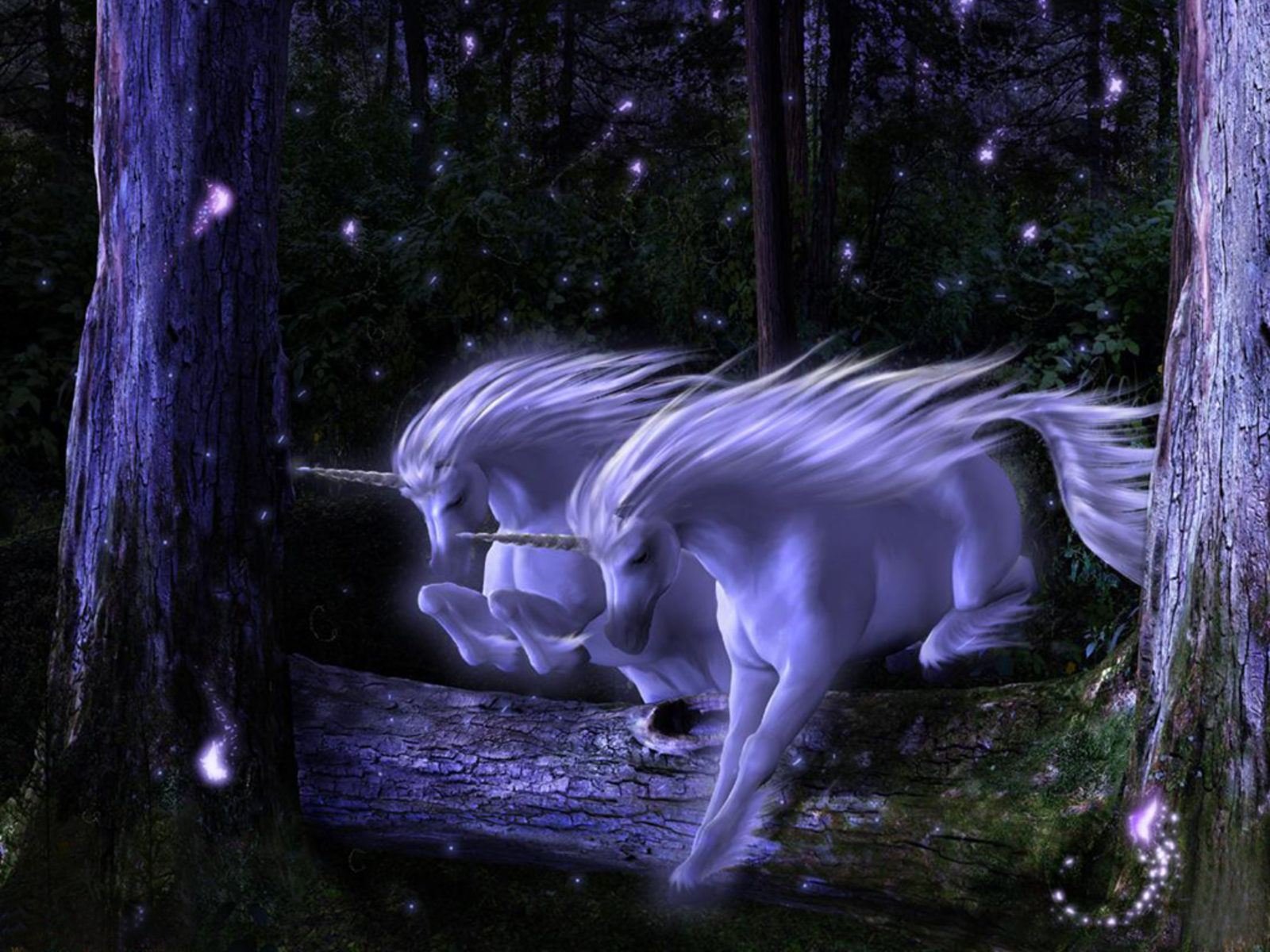 Fantasy Unicorn 1600x1200