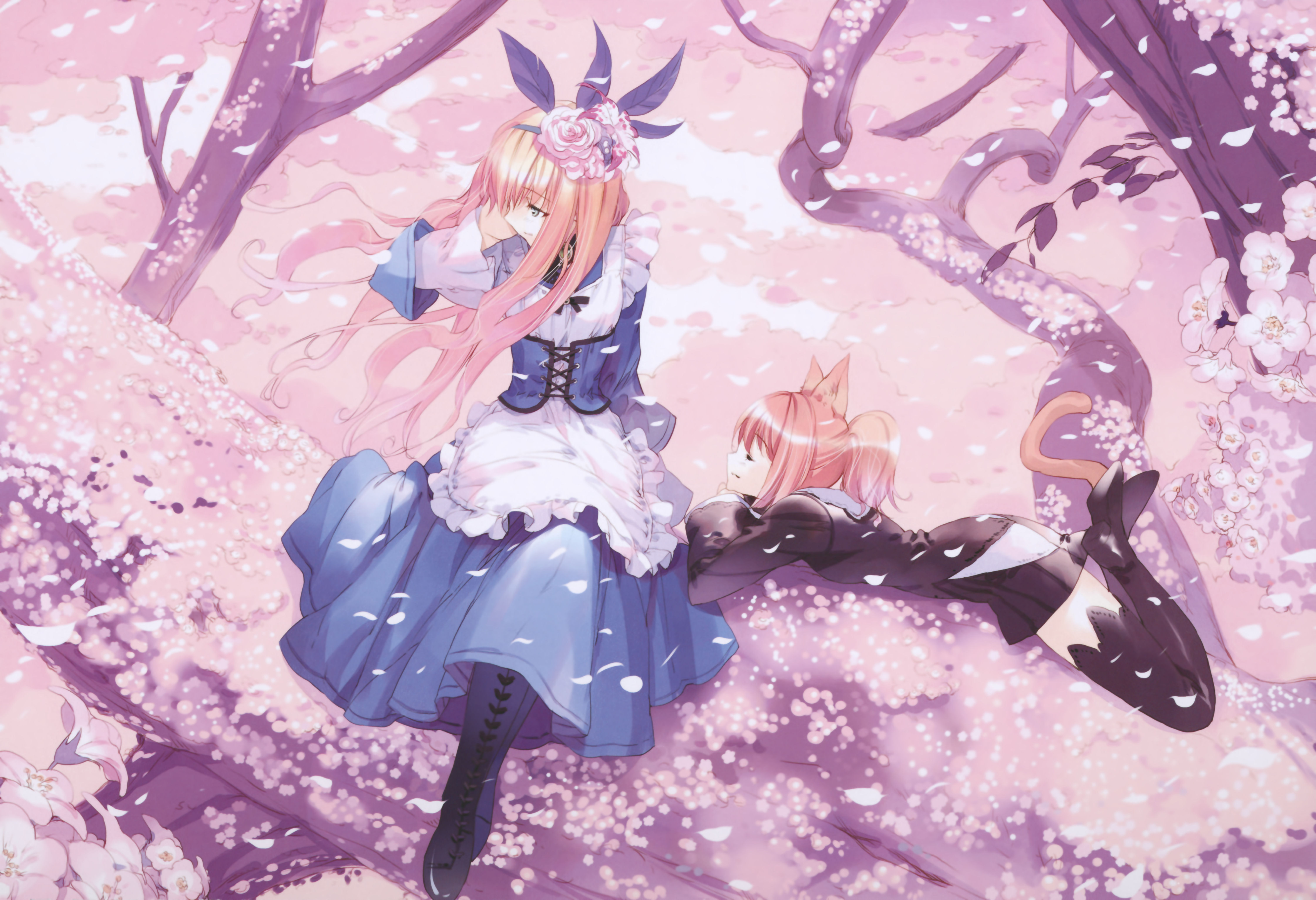 Anime Alice In Wonderland 6047x4133