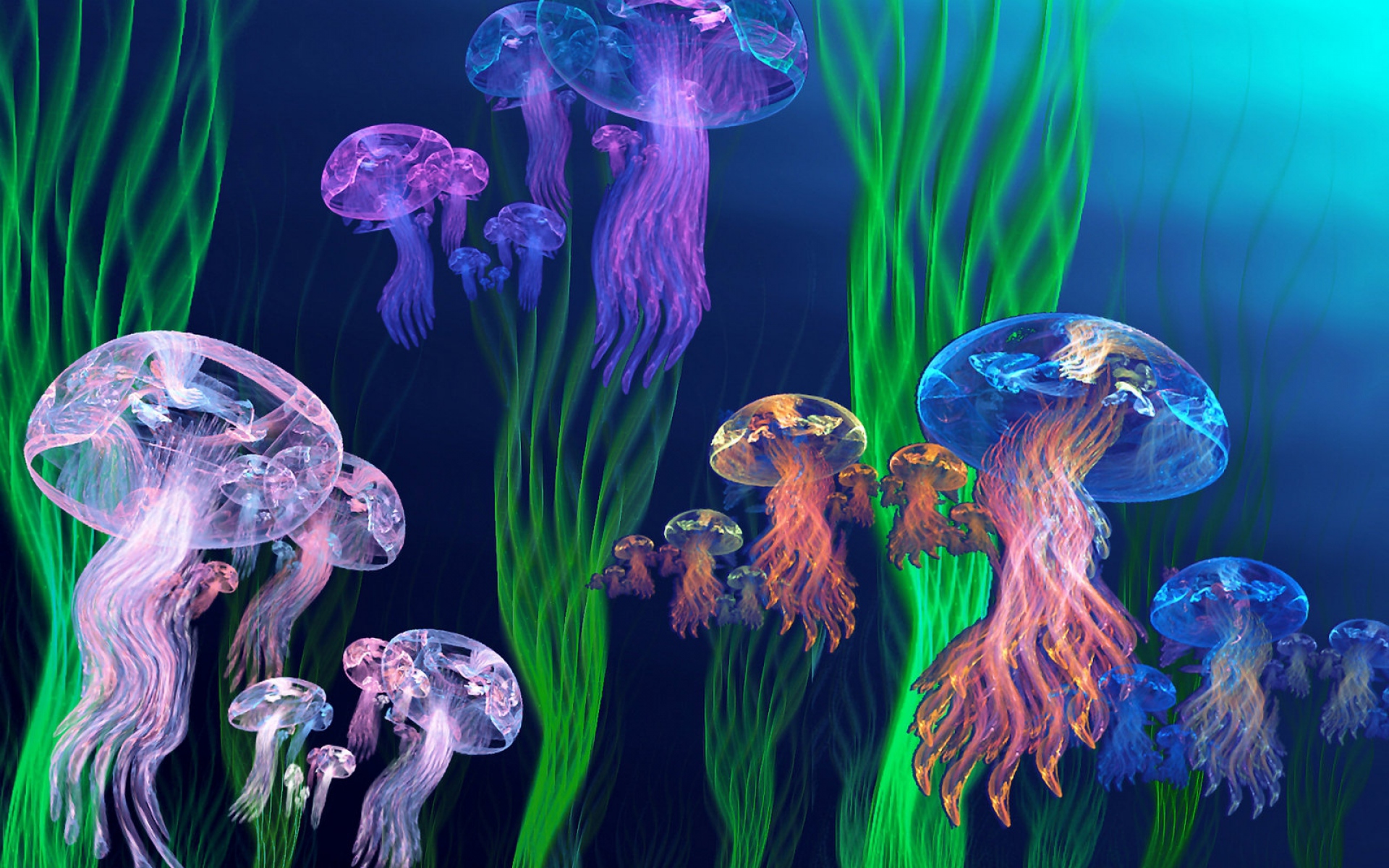 Animal Artistic Colorful Colors Jellyfish 1920x1200