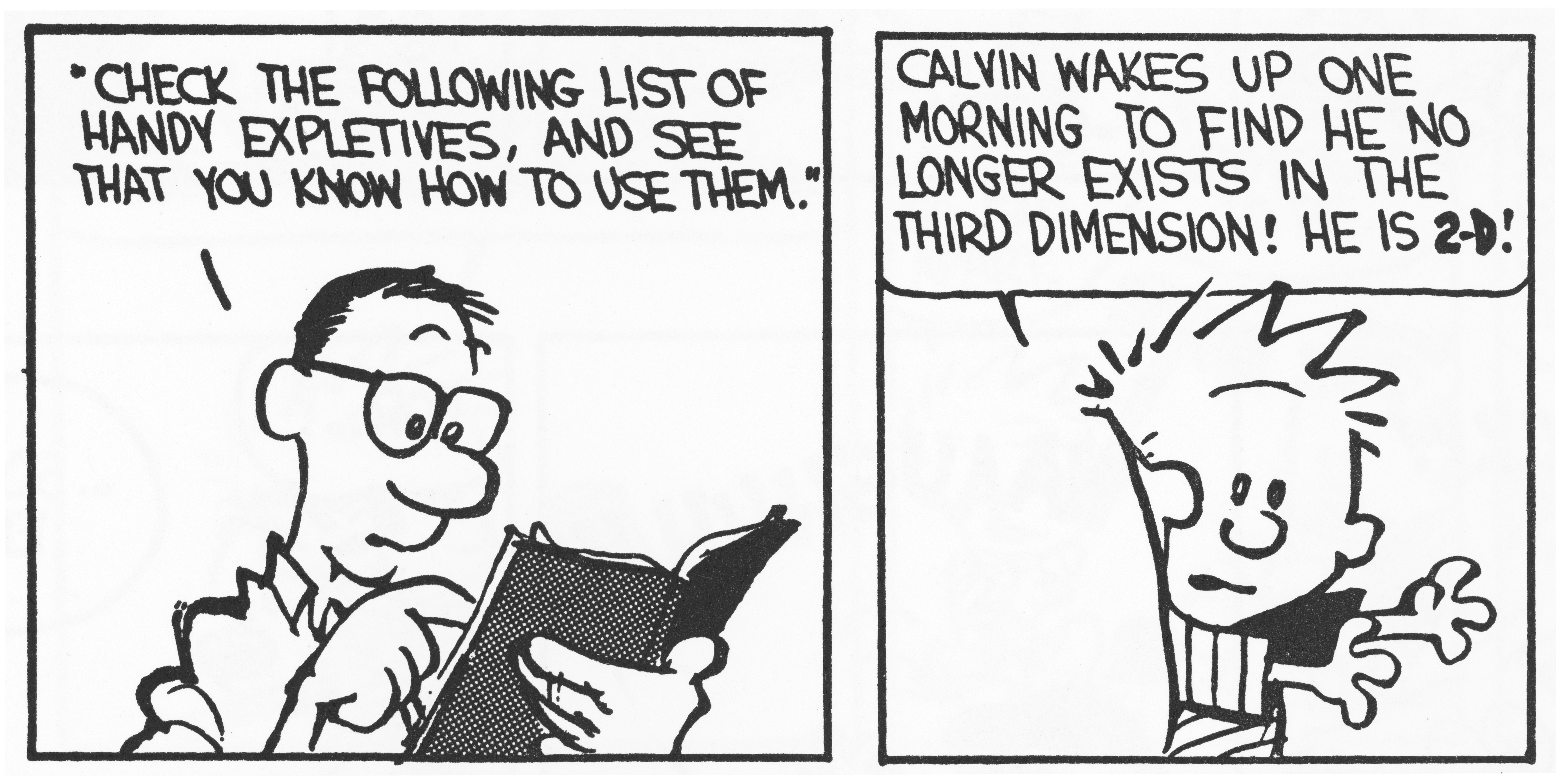 Calvin Calvin Amp Hobbes 6479x3258