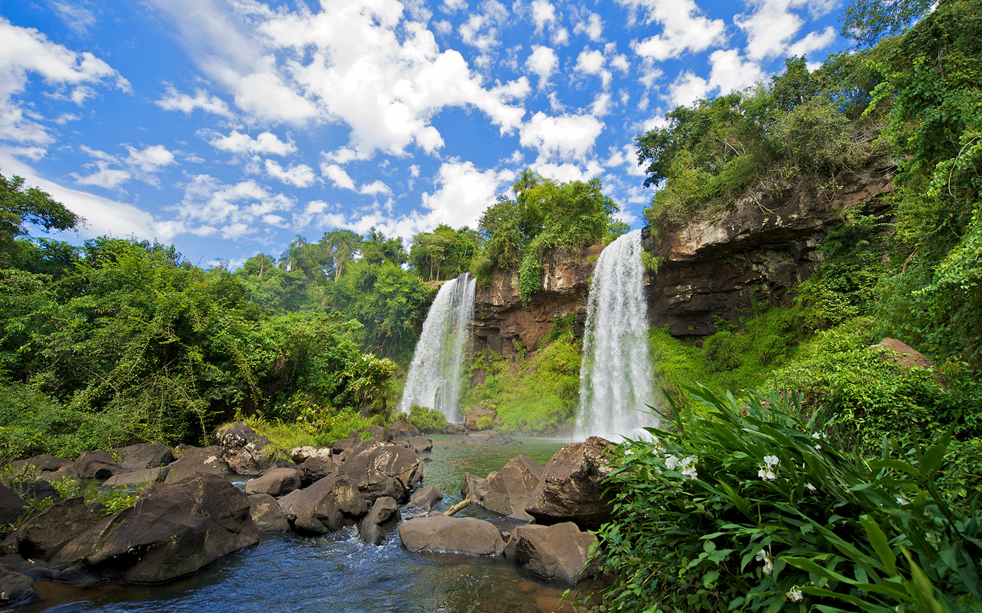 Earth Forest Green Iguazu Falls Rock Tree Waterfall 1920x1200