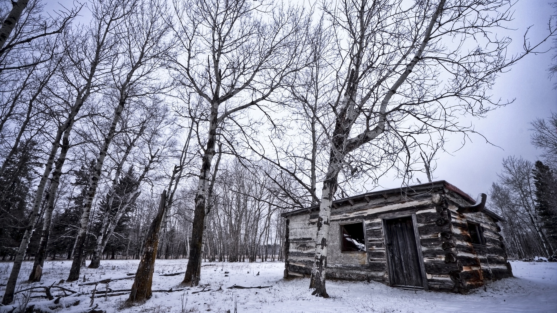 Cold Door Forest House Landscape Log Photography Sky Snow Tree Wilderness Window Winter Wood 1920x1080