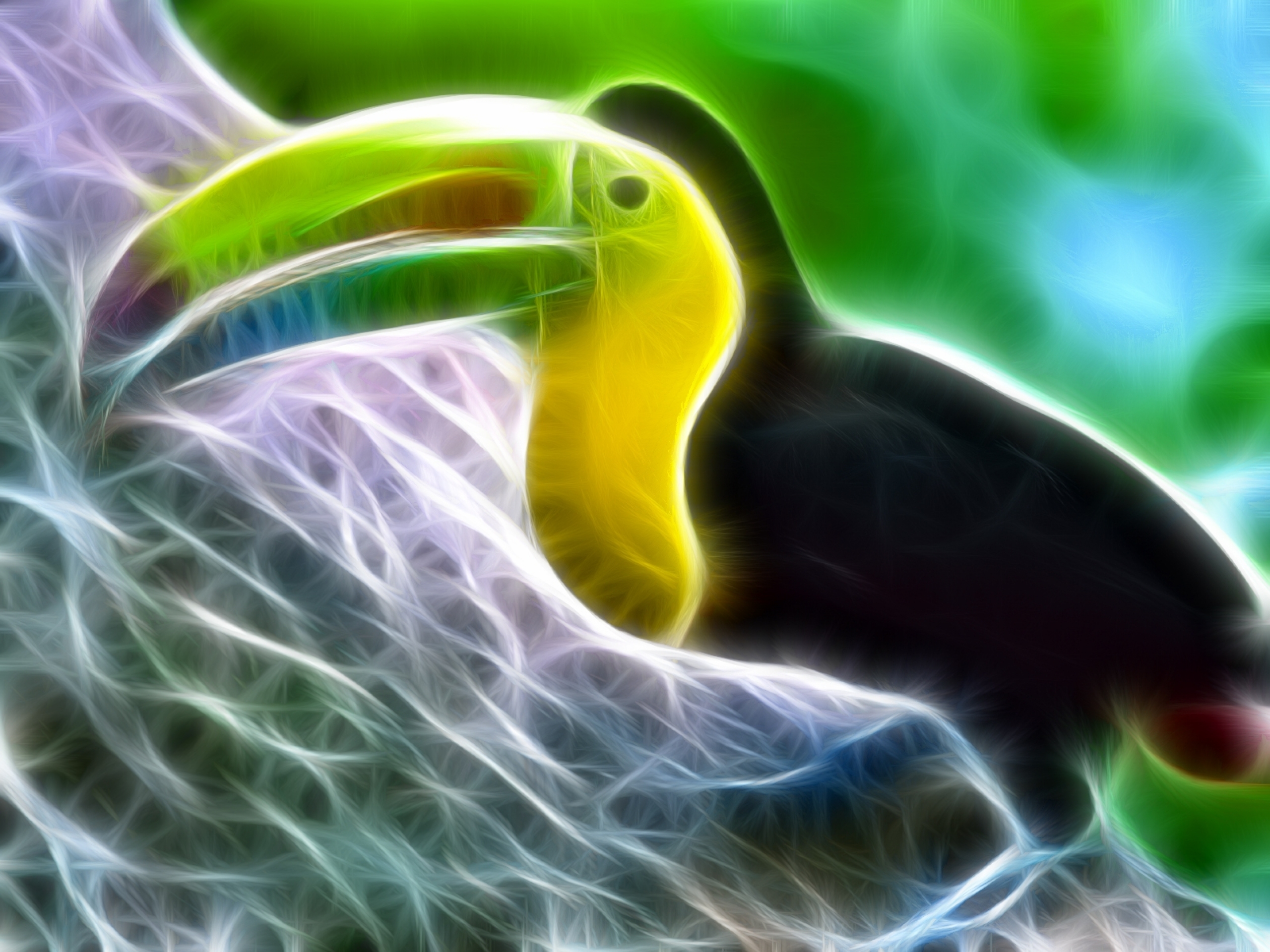 Animal Toucan 2560x1920