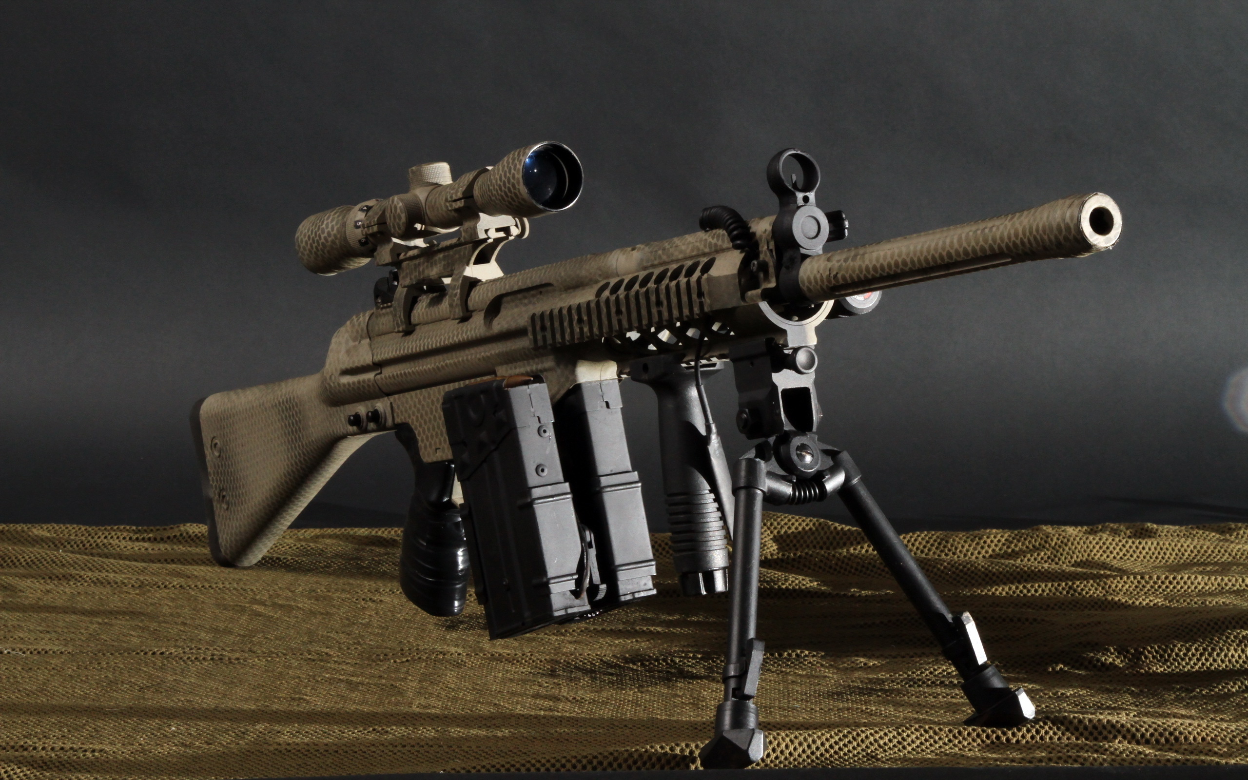 Weapons Assault Rifle 2560x1600